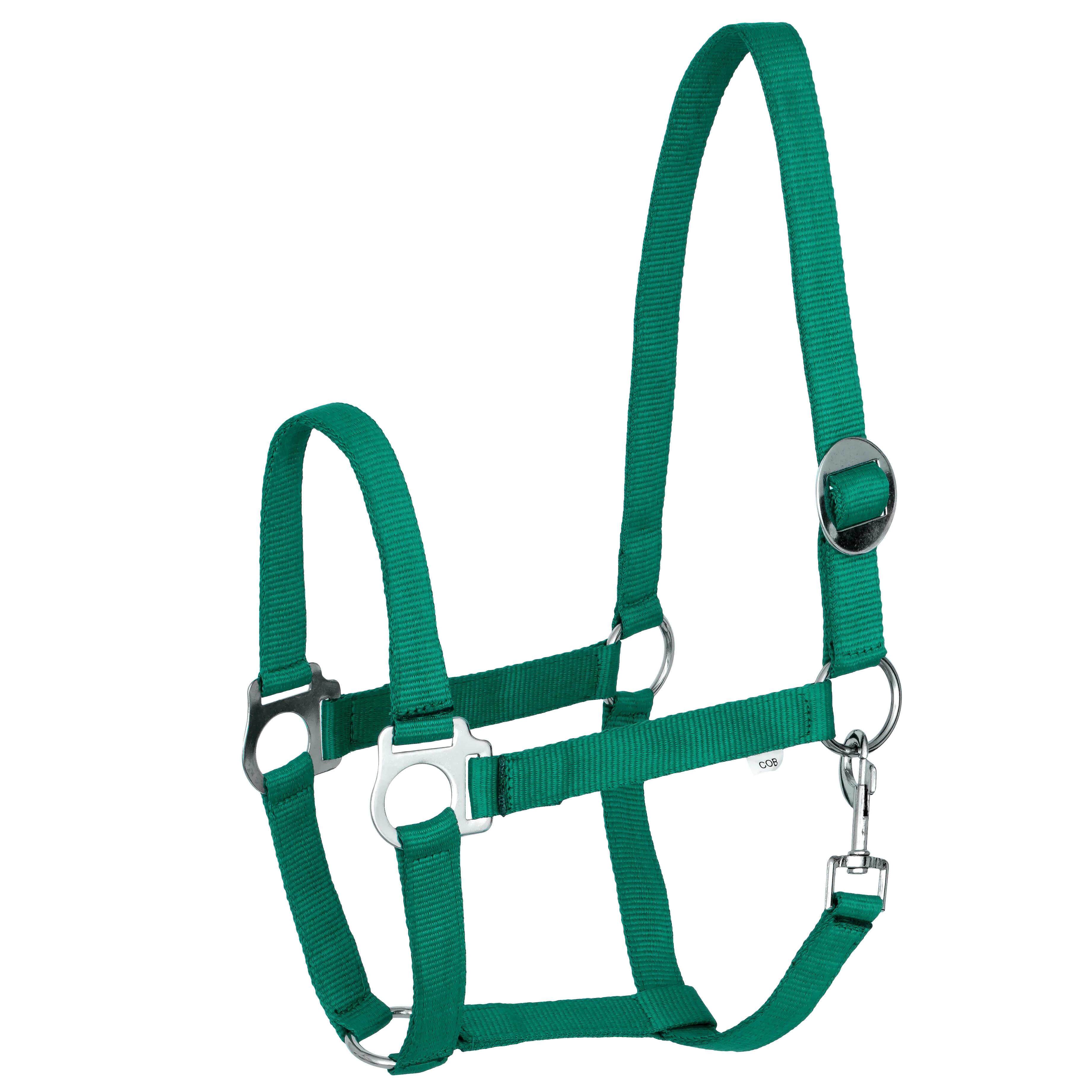 Kantar START Economic