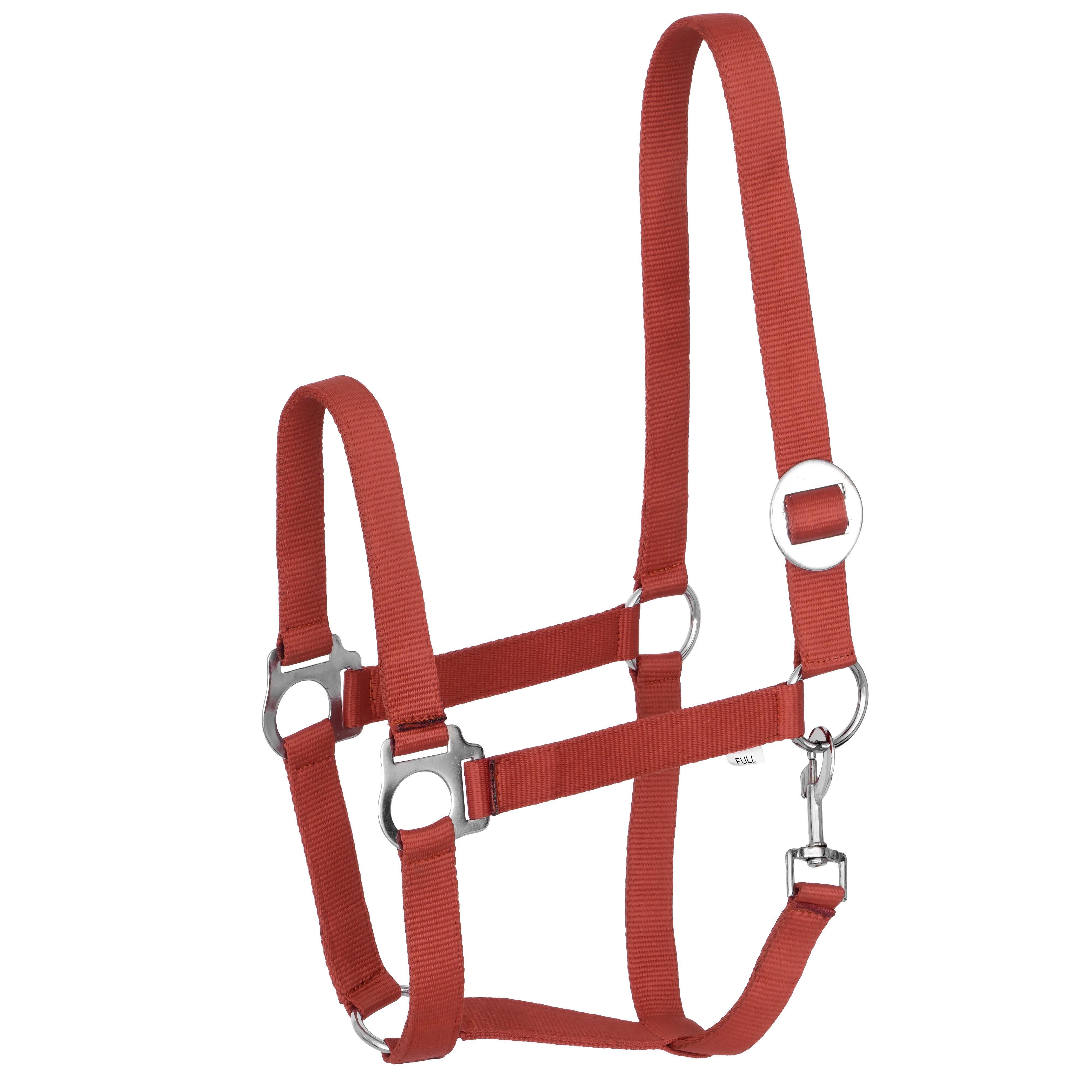 Kantar START Economic