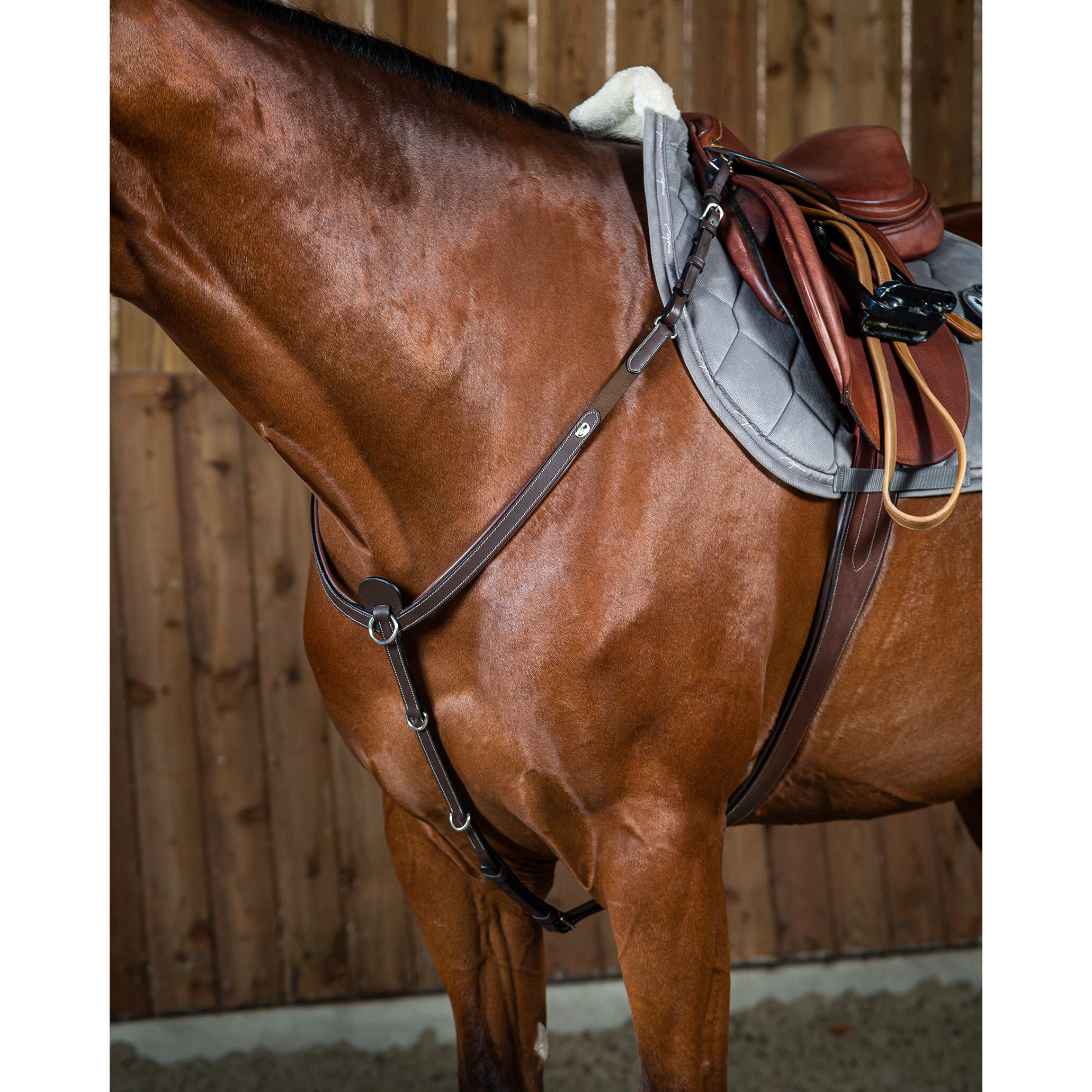 Napierśnik dla koni Dy'on