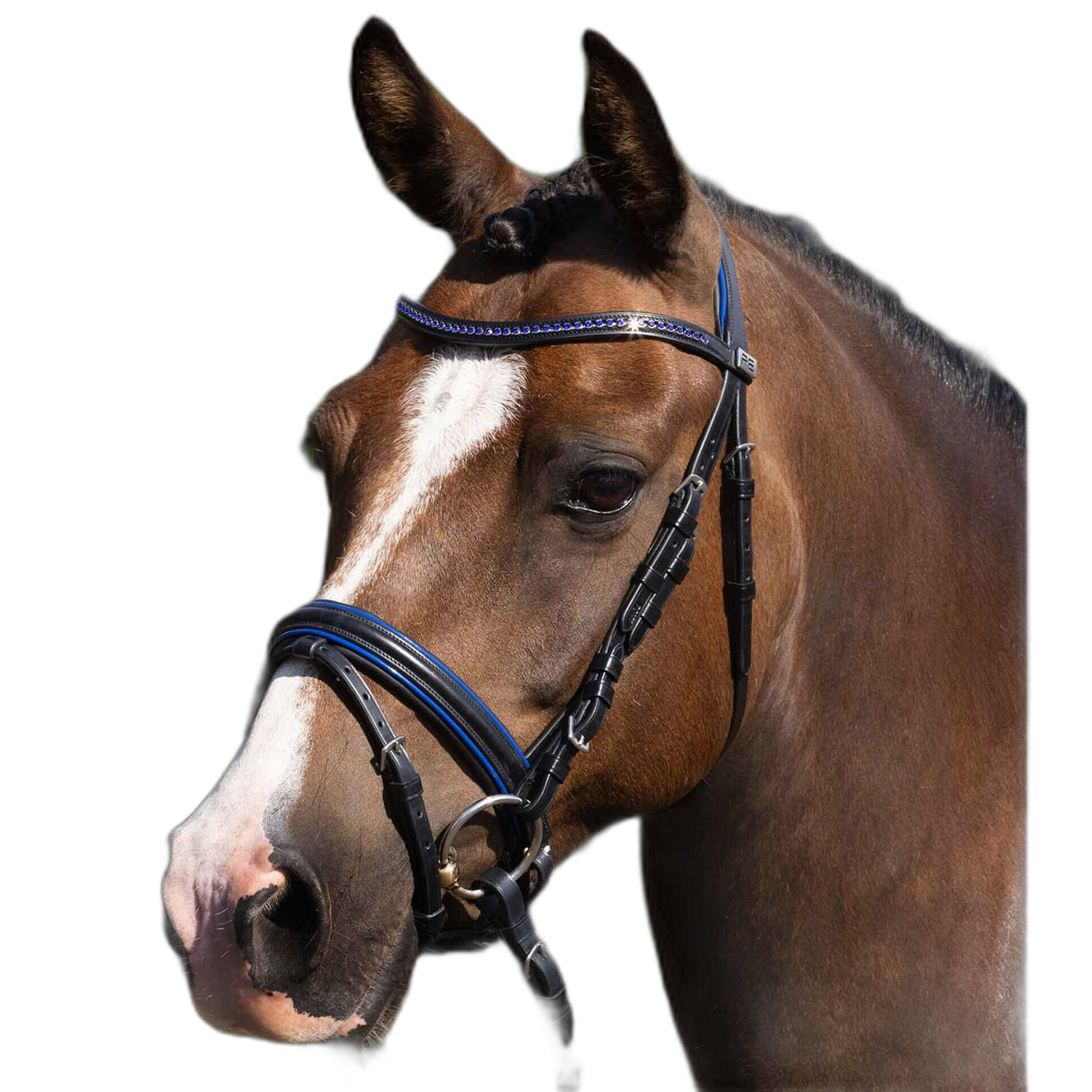 Siodło do jazdy konnej Premier Equine Mineo