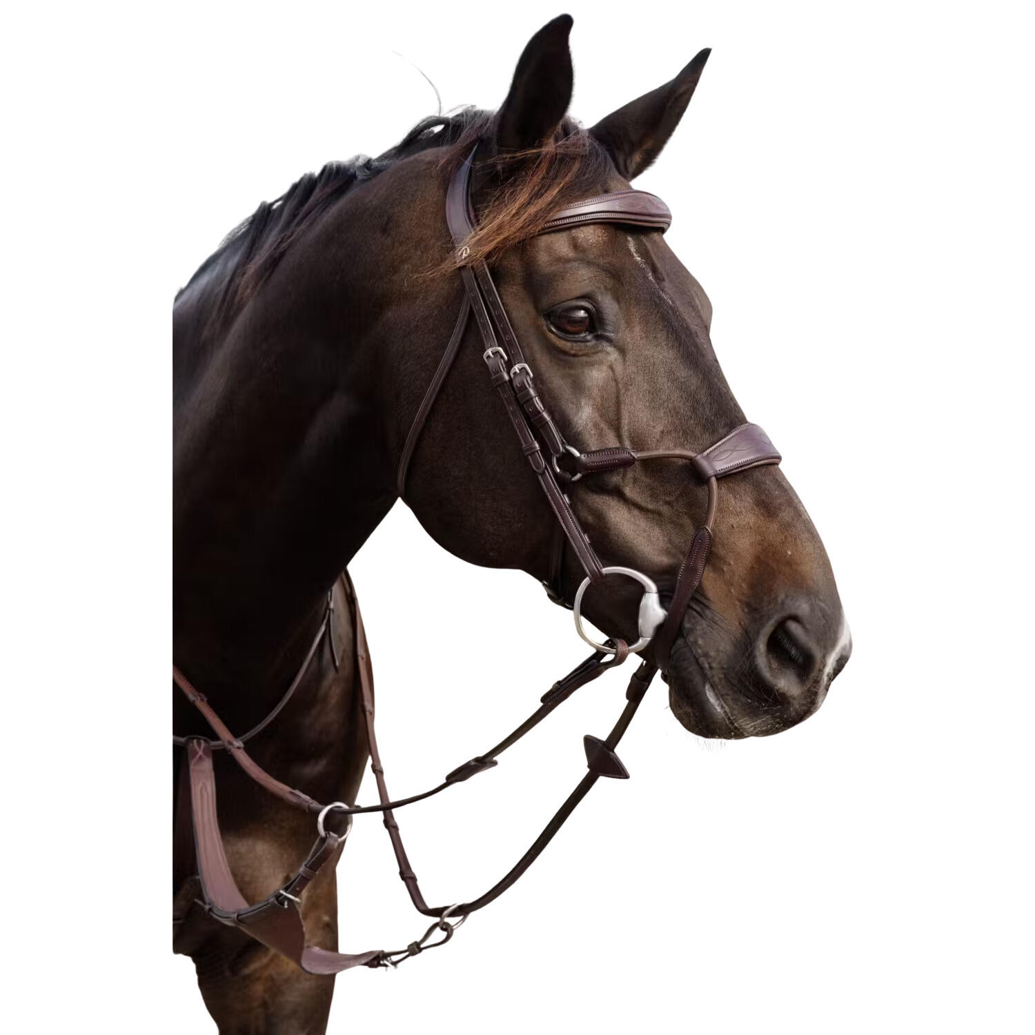 Elastyczna nachrapnik dla konia Dy'on Hybride