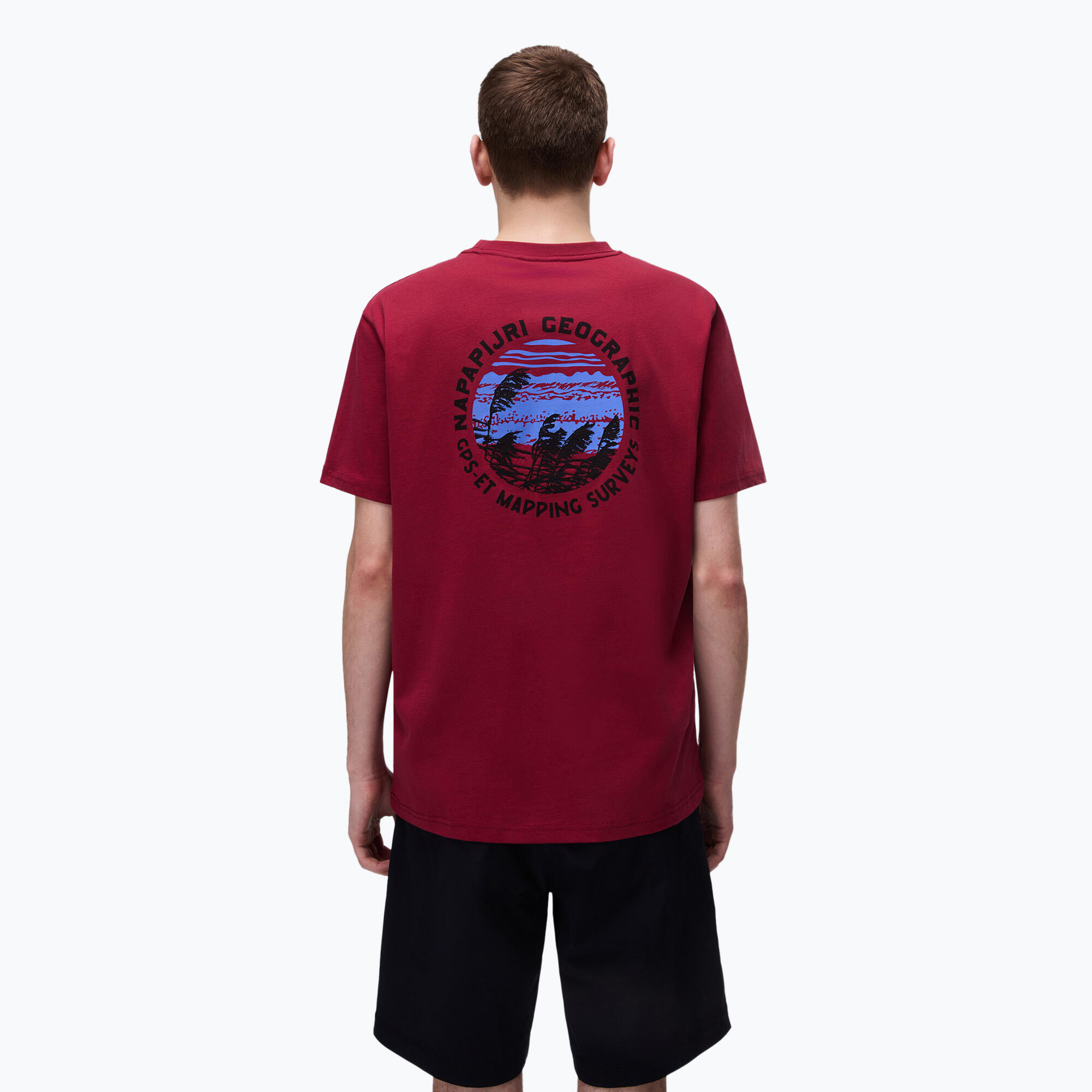 Koszulka męska Napapijri S-Vignonil Back tibetan R1E