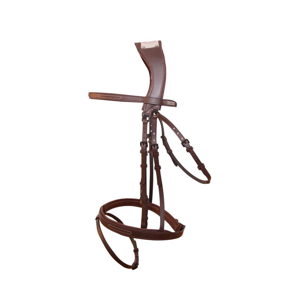 Uzda z mostkiem T de T Manet