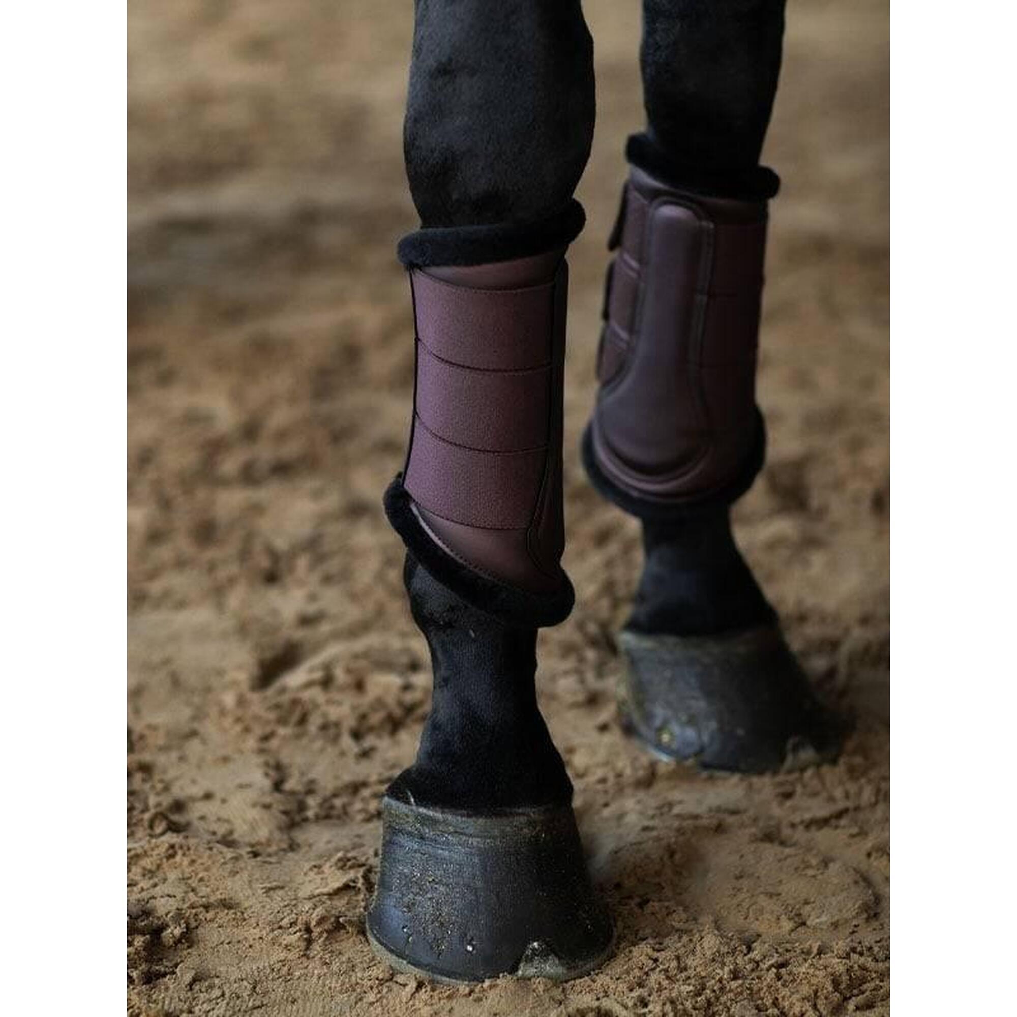 Zamknięte buty dla koni Equestrian Stockholm