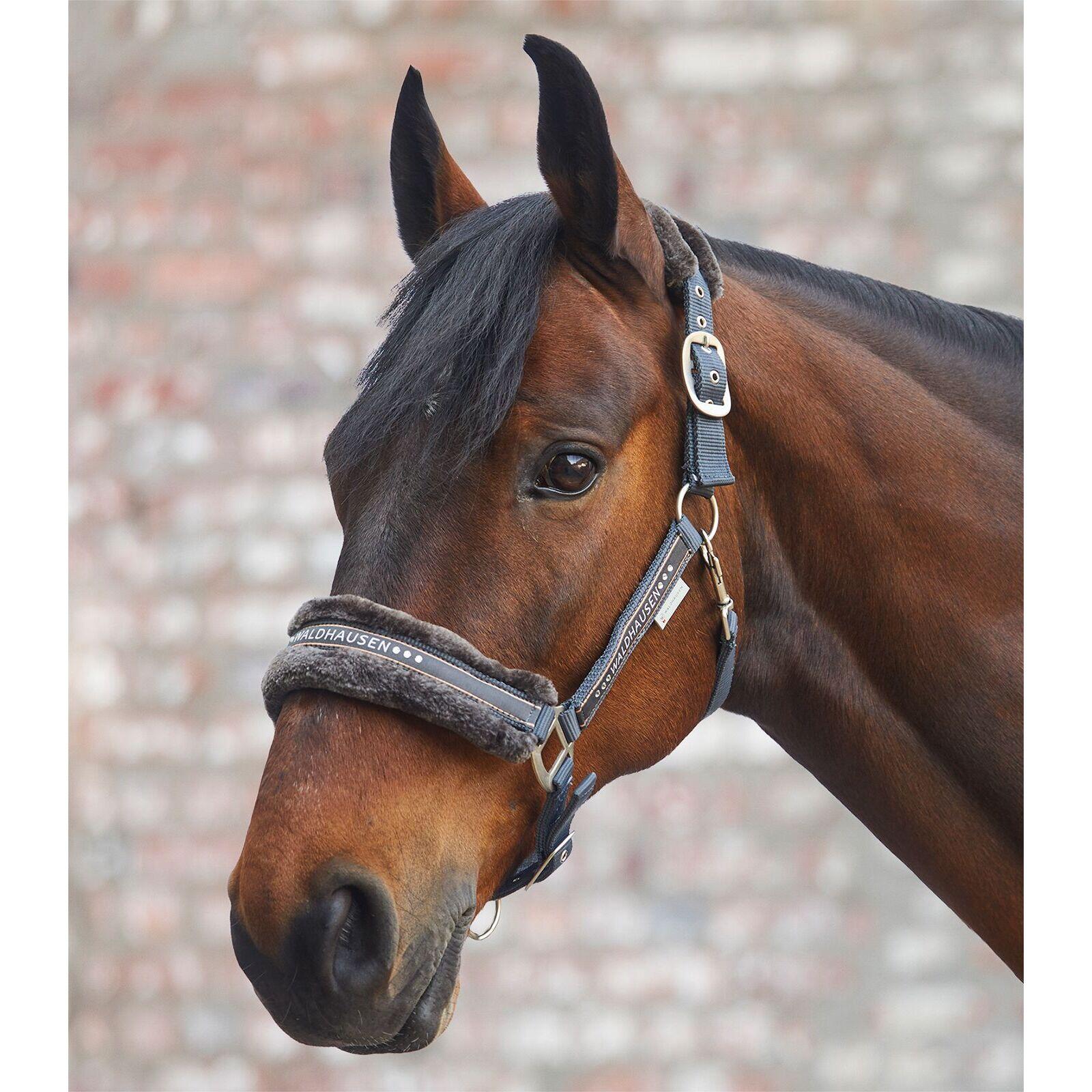 Smycz dla kucyka z futerkiem Waldhausen Elegant