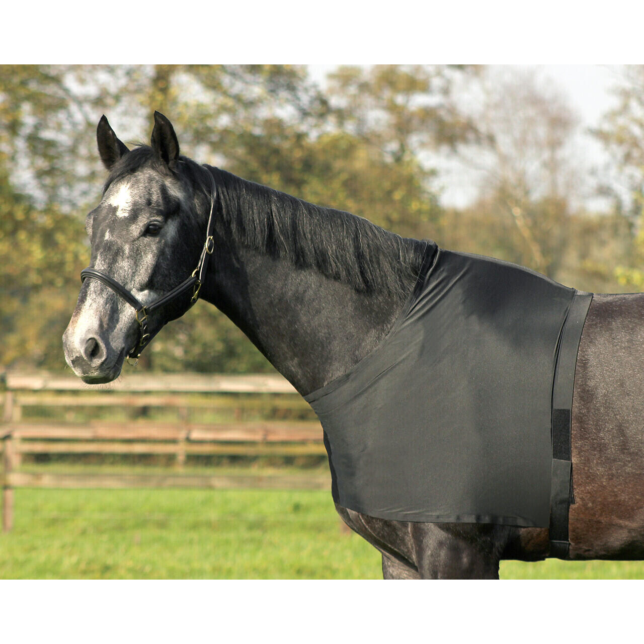 Ochraniacze na klatkę piersiową i ramiona z elastanu Q-essentials