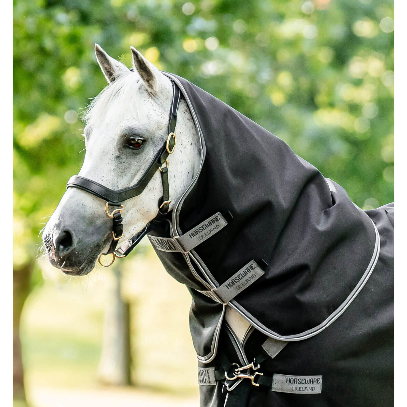 Kocyk dla koni Horseware Rambo 1680D Plus Turnout 250g