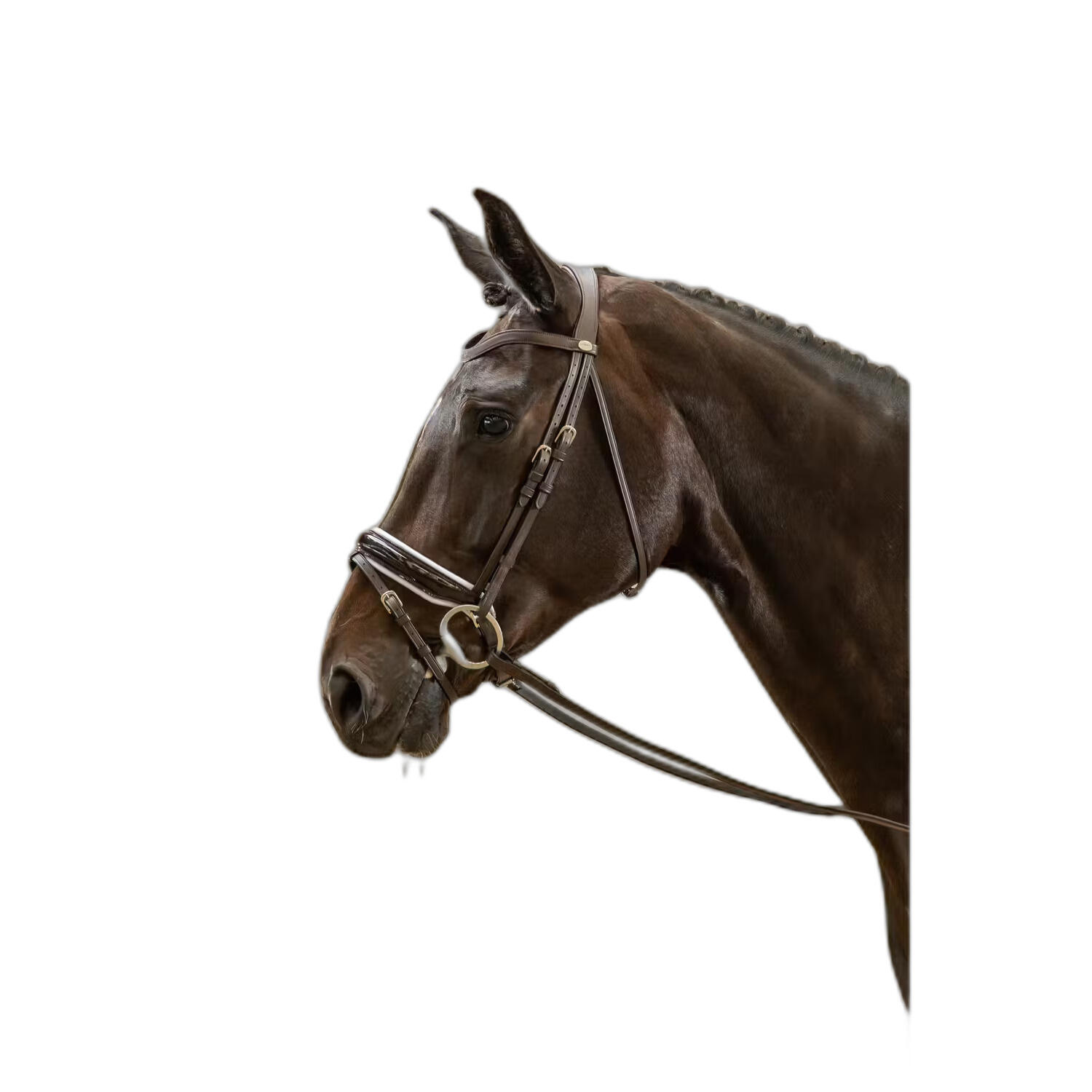 Siodło do jazdy z szeroką podkładką kombinowaną, lakierowane z białą podszewką D