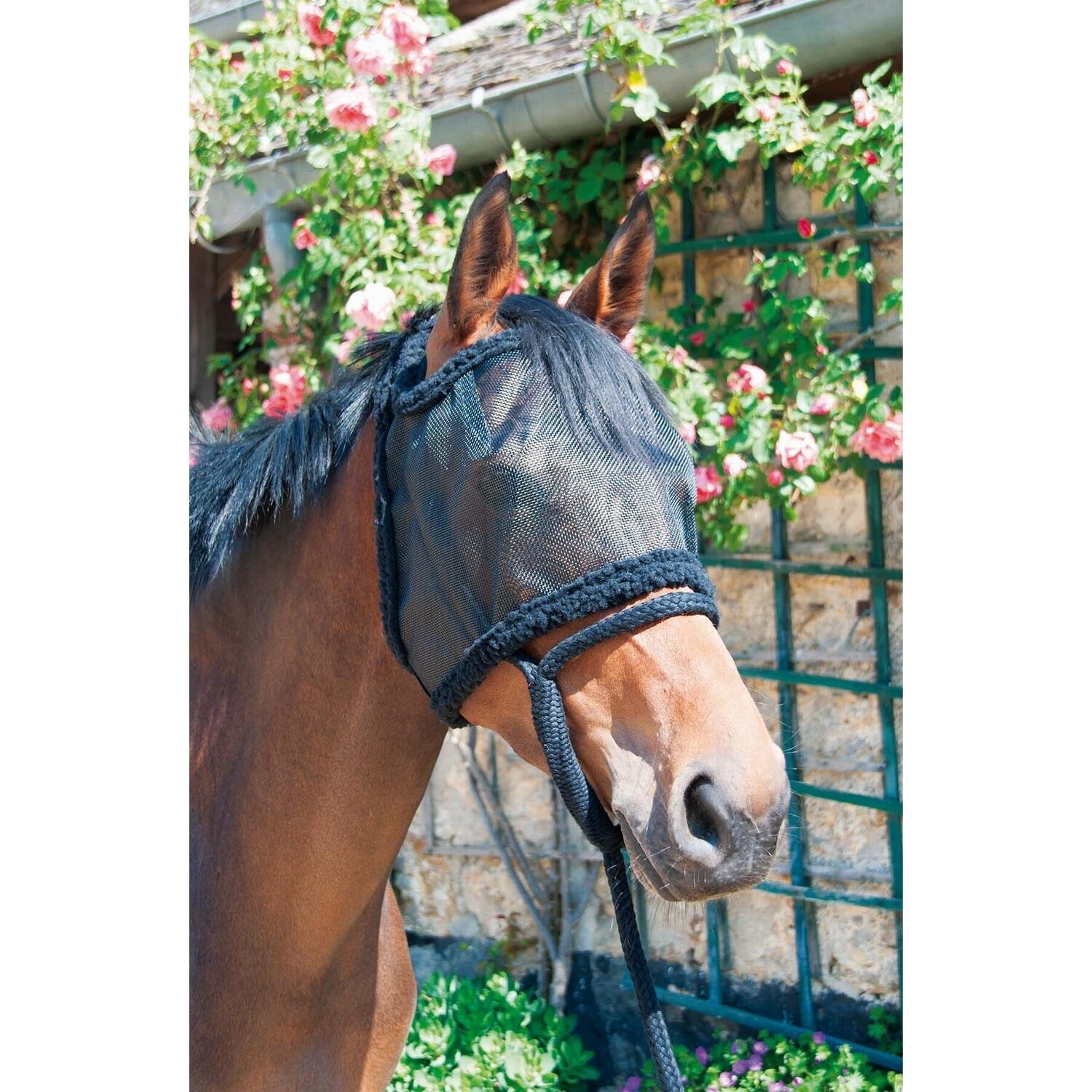 Czaprak dla konia z pastwiska bez uszu T de T