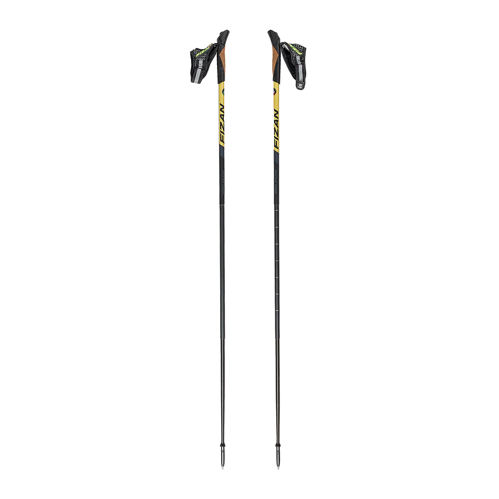 Kije nordic walking Fizan Lite