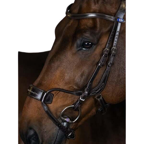 Uzda do jazdy konnej PS of Sweden High Jump