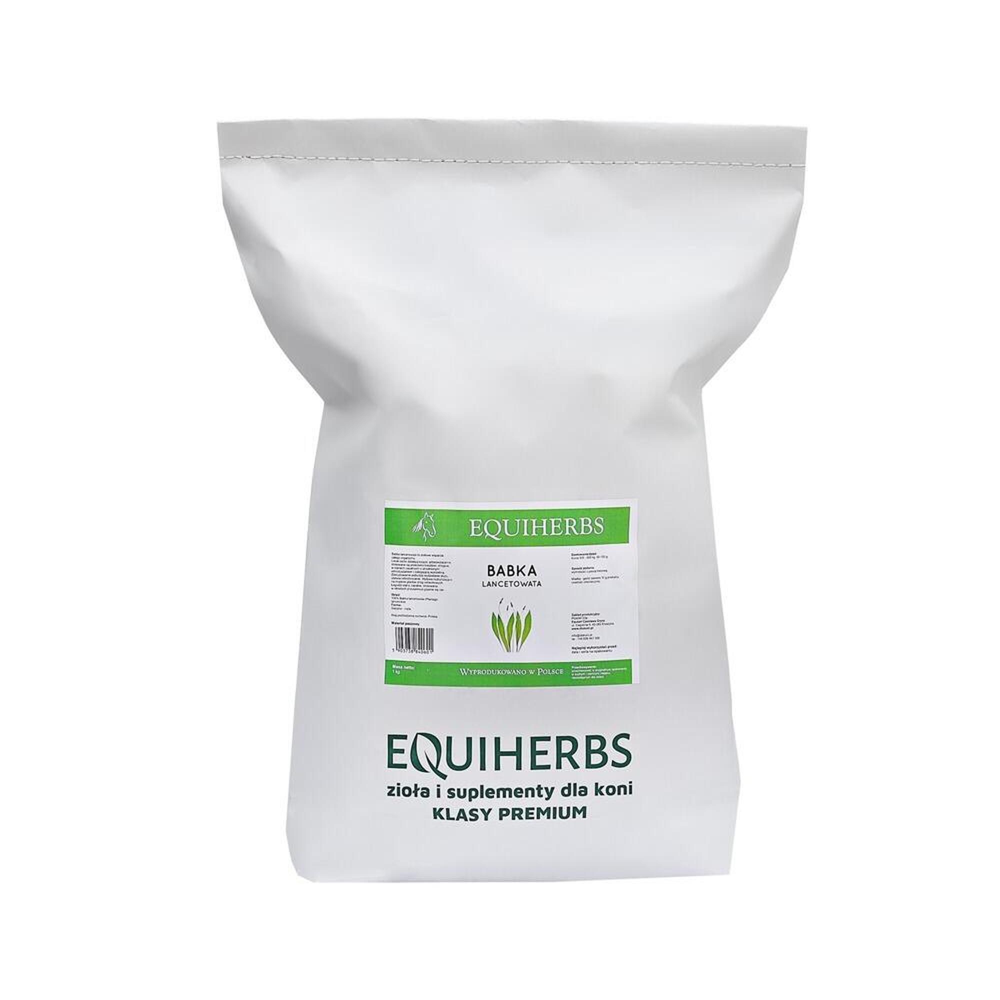 Babka lancetowata EQUIHERBS
