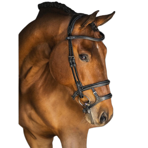 Uzda do jazdy konnej PS of Sweden Paris