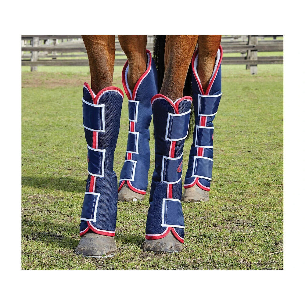 Buty transportowe dla koni Weatherbeeta Wide Tab