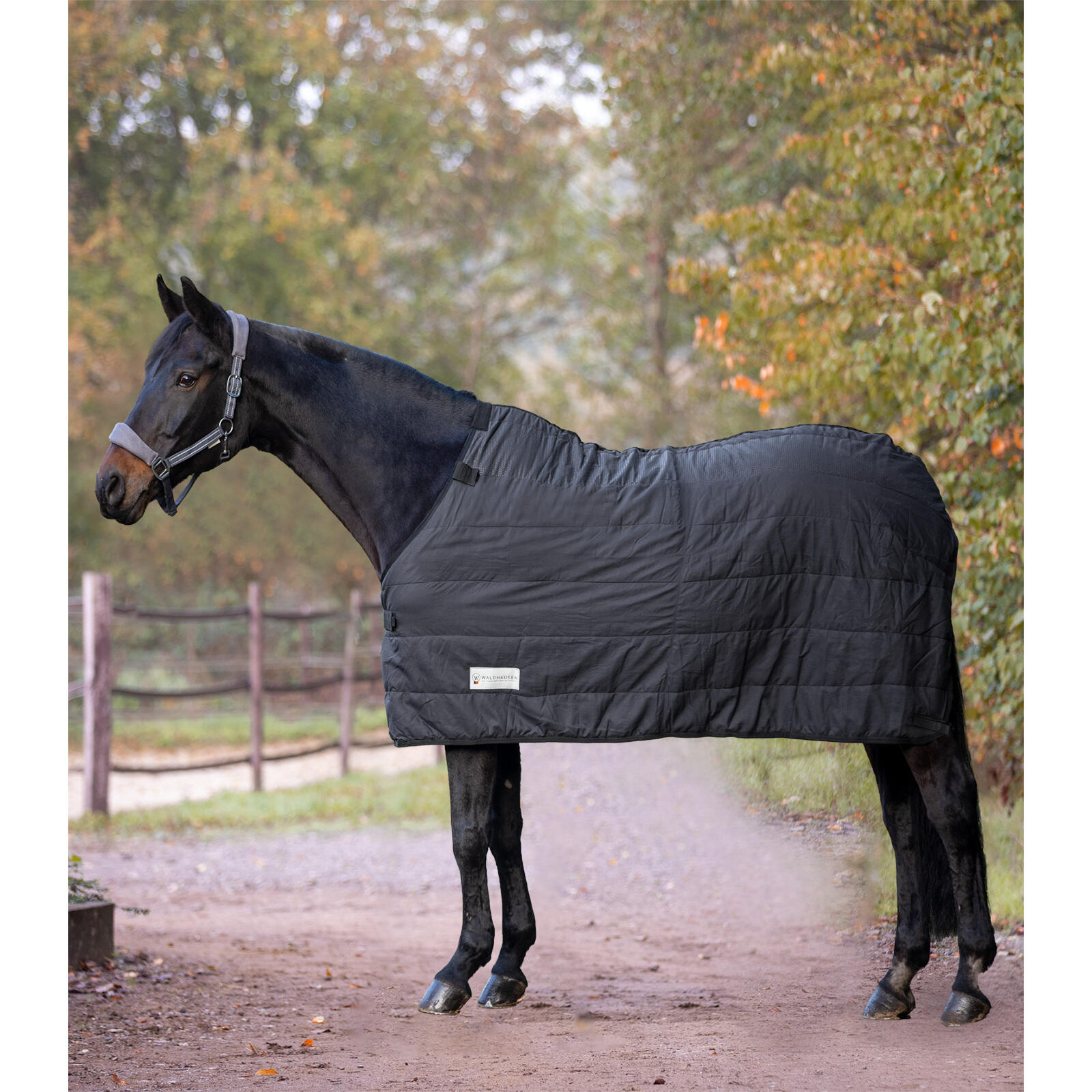 Podkładka pod siodło dla konia Waldhausen