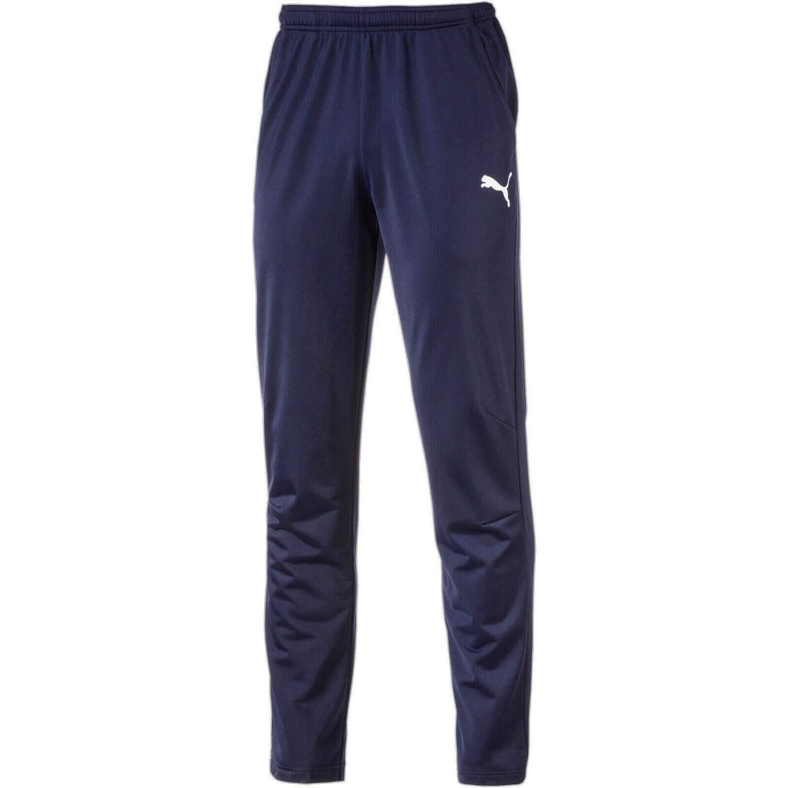 Spodnie Puma Men Liga Pants Core, Mężczyźni
