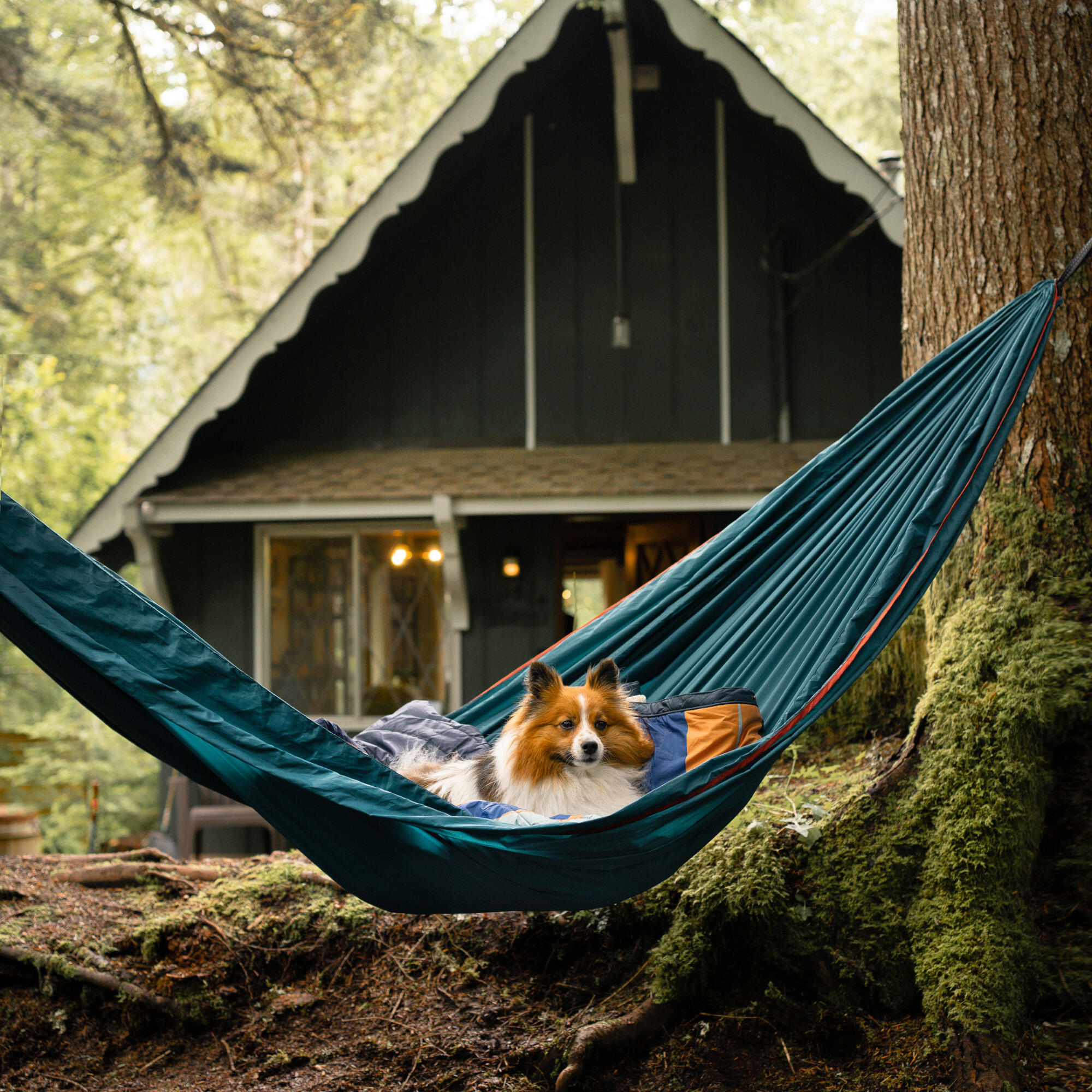 Hamak Grand Trunk Trunk Tech Double navy/green