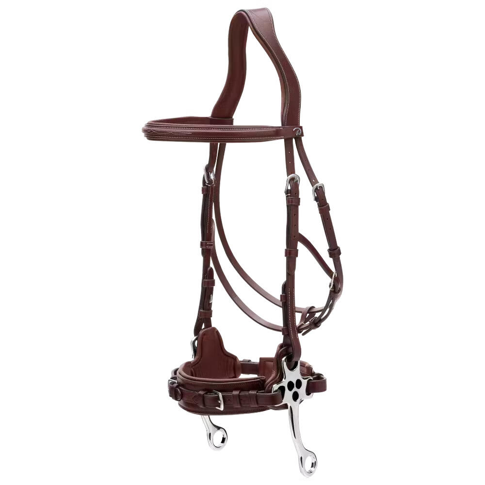 Hackamore dla konia Dy'on