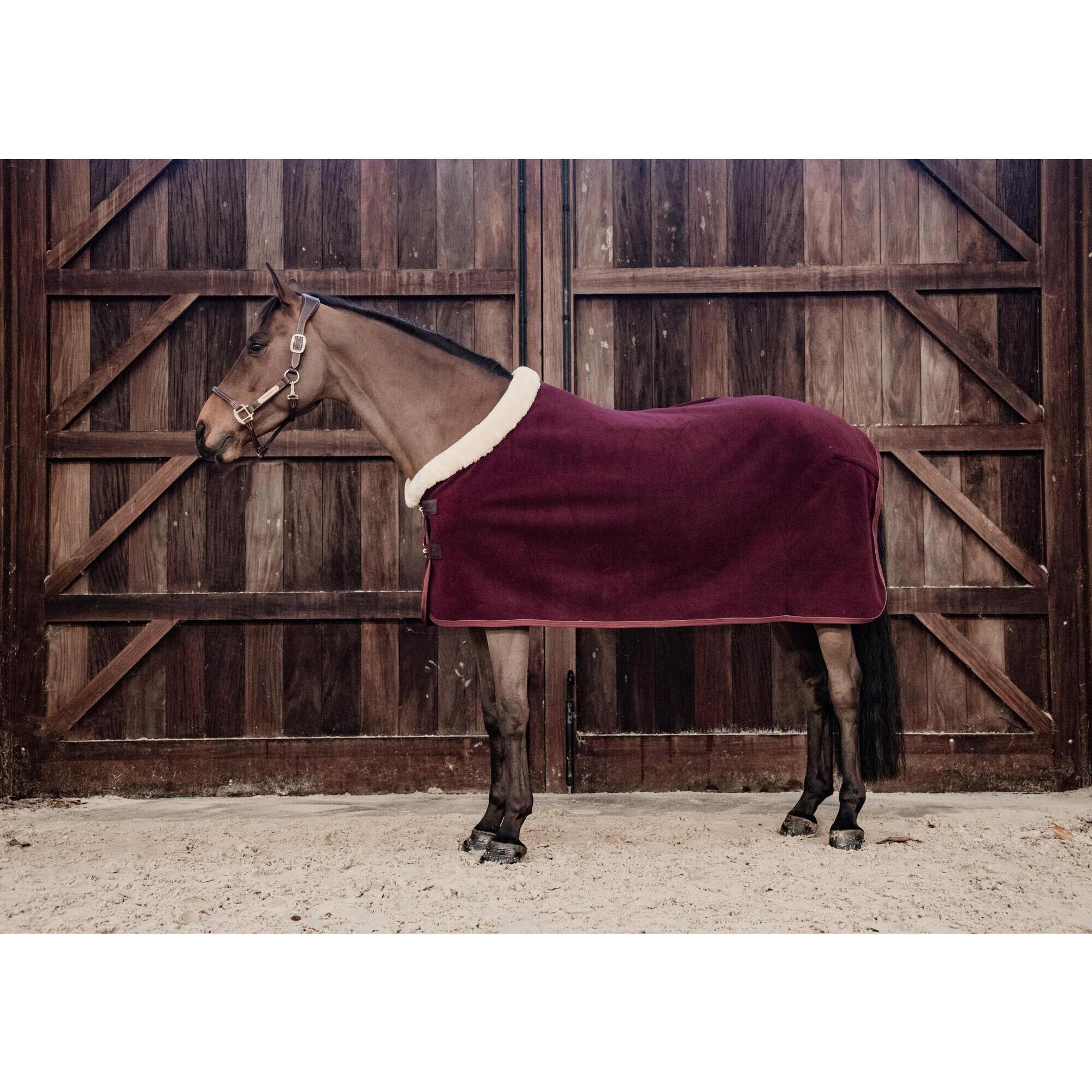 Prezentacyjna derka dla koni Kentucky Show Heavy