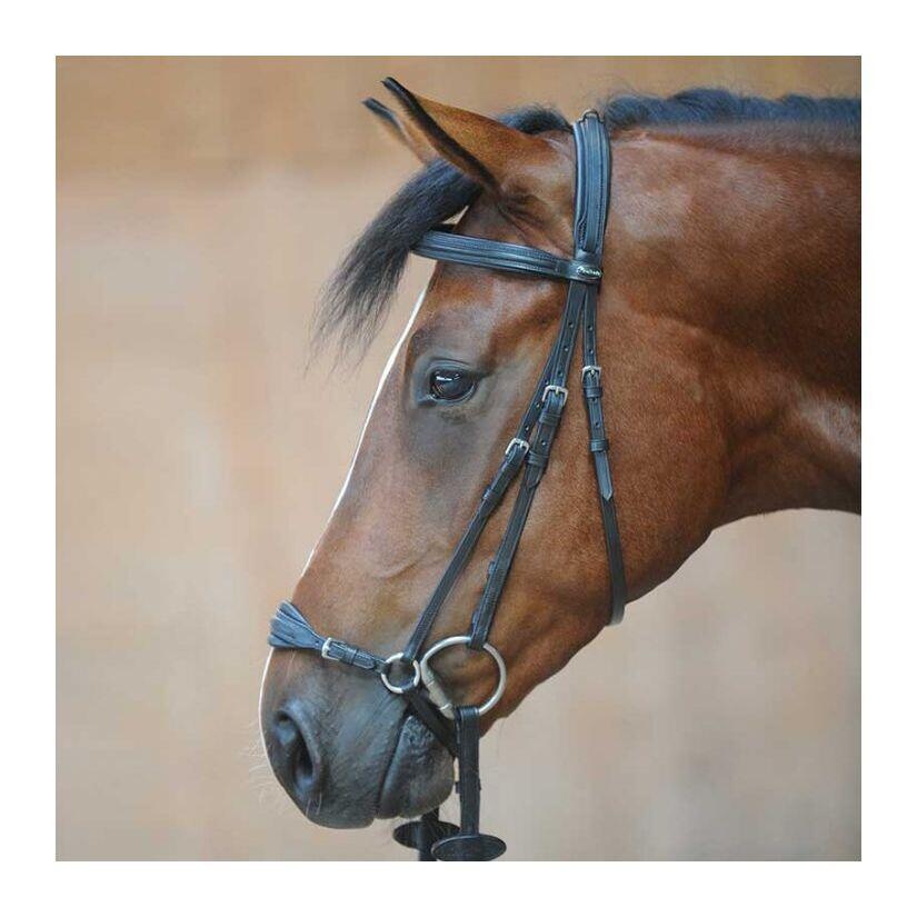 Uzda do jazdy konnej Kavalkade Levana