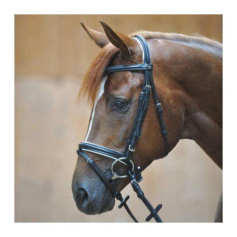 Uzda do jazdy konnej Kavalkade Quentin