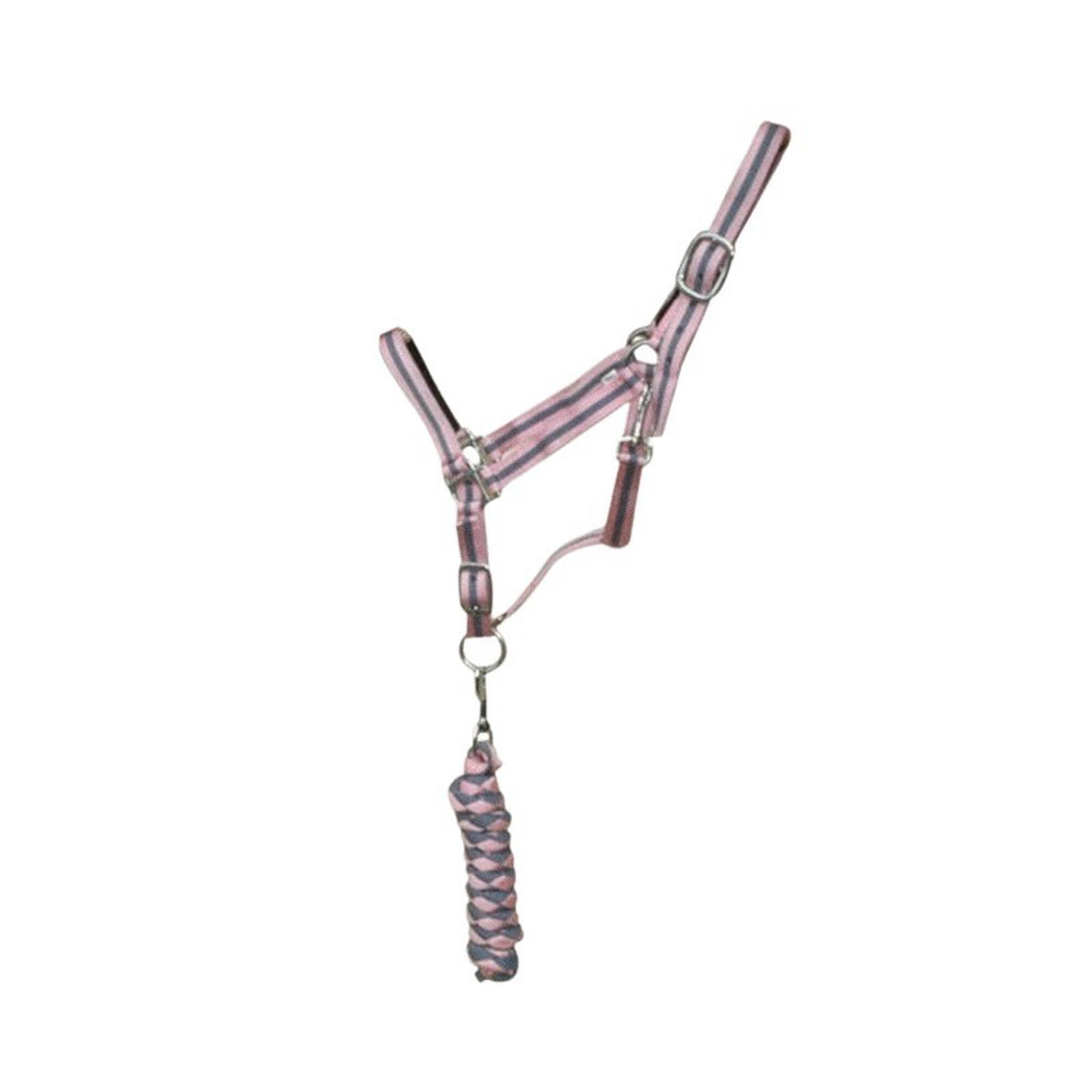 Podwójny kantar dla konia + lonża T de T