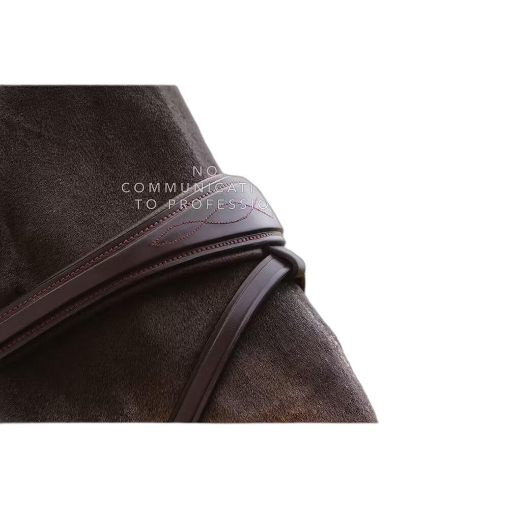 Anatomiczna wędzidło kombinowane dla konia z łańcuchami Dy'on