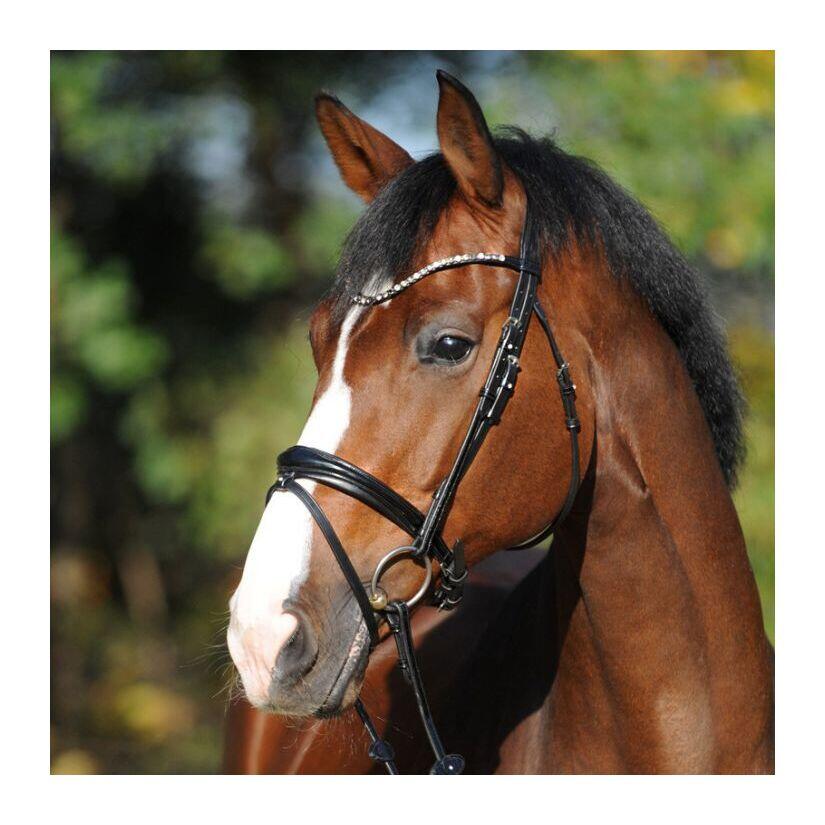 Uzda do jazdy konnej Kavalkade Reyna KavalSH4