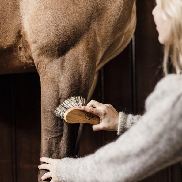 Kentucky Middle Hard Brush -