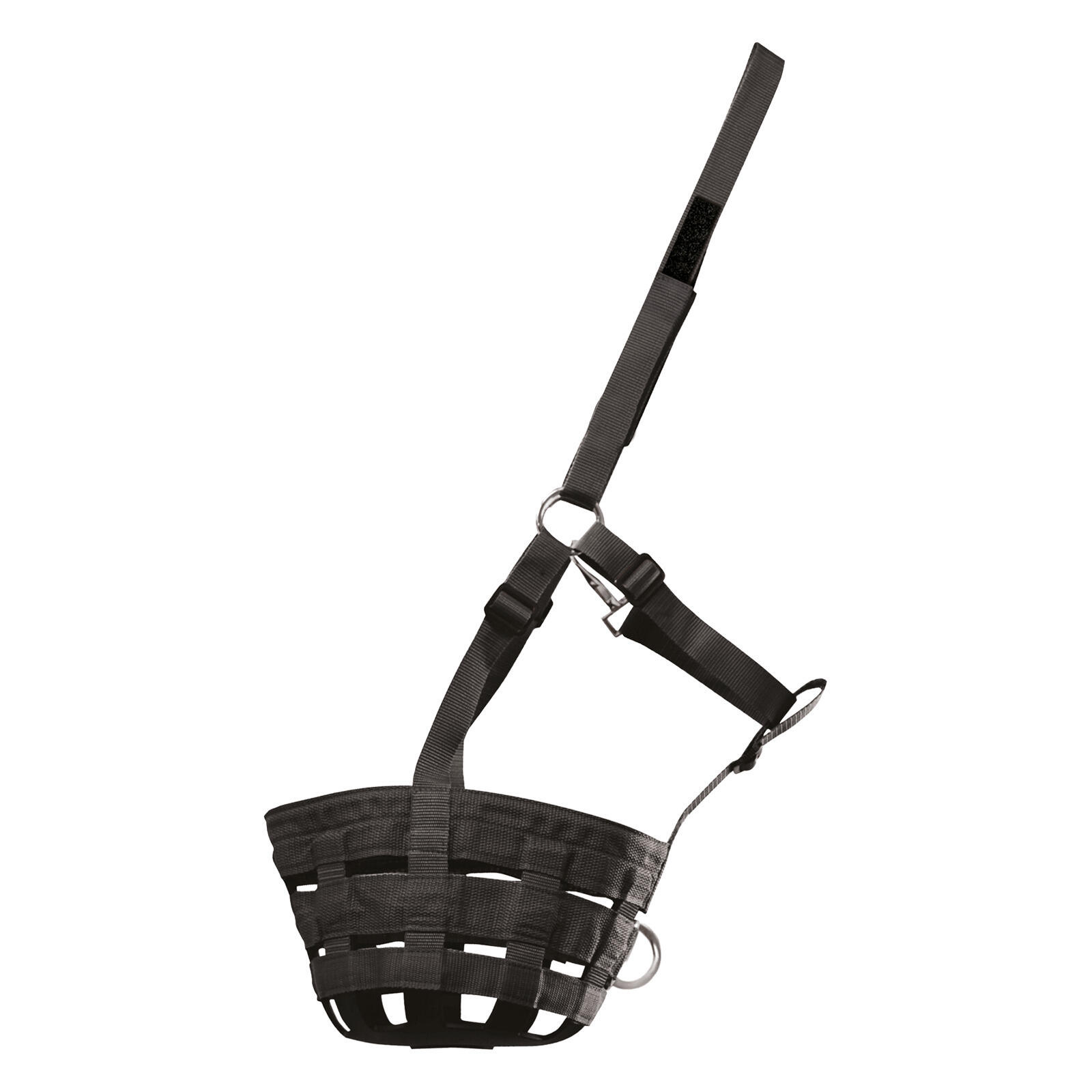 Muszka dla kucy na pastwisku Waldhausen