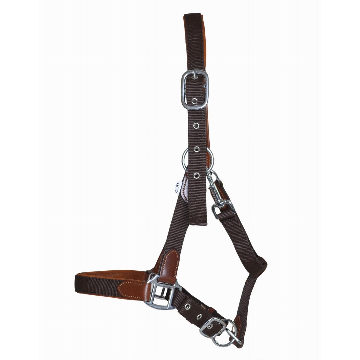 Nagłówek dla konia ze skóry i paska T de T