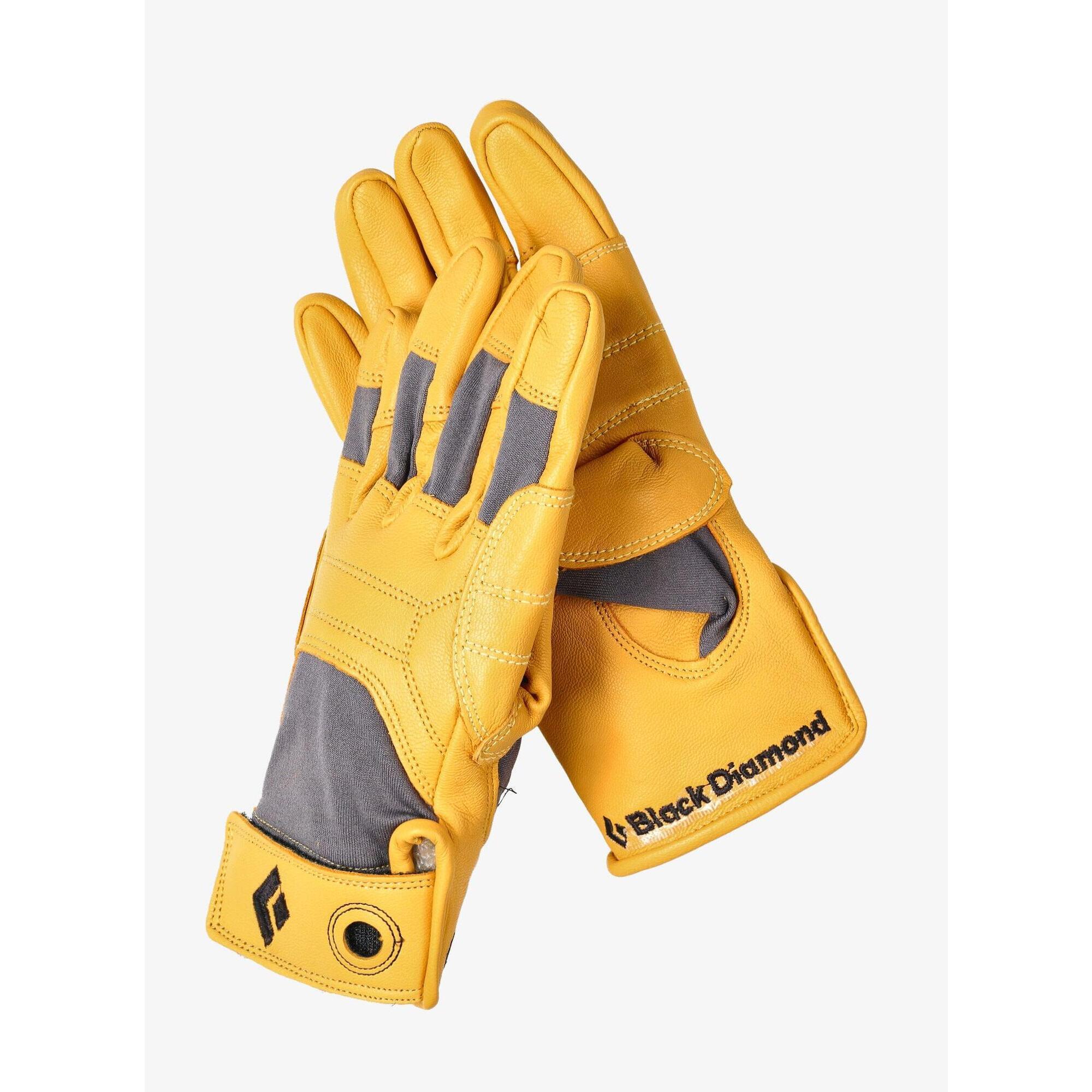 Rękawice Black Diamond Transition Gloves