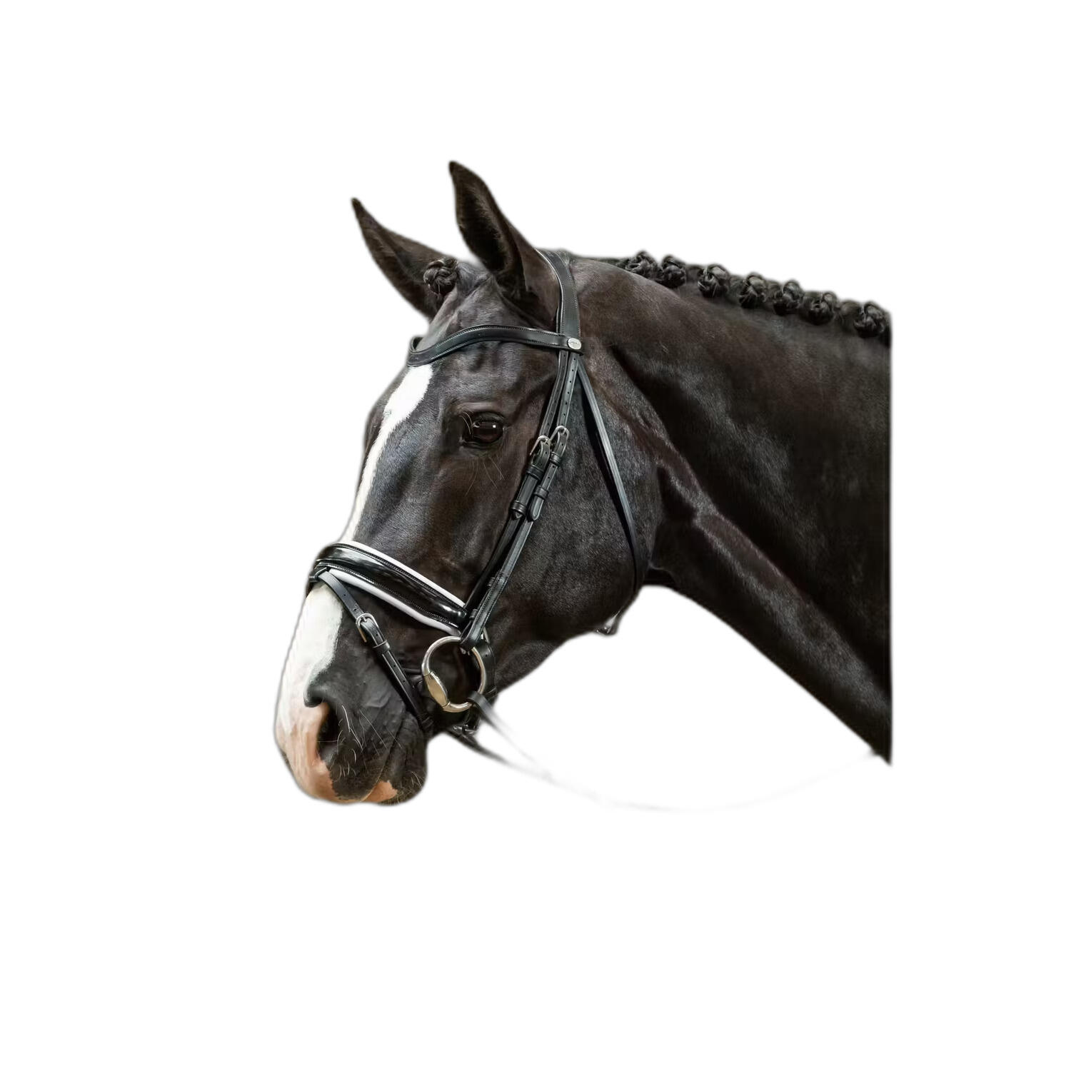 Siodło do jazdy z szeroką podkładką kombinowaną, lakierowane z białą podszewką D