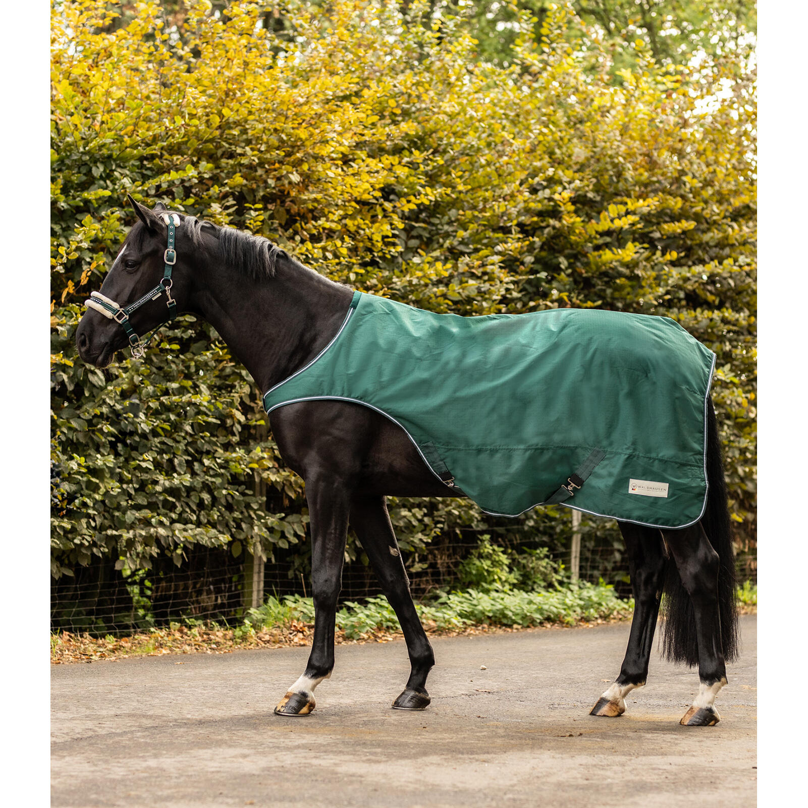 Derka padokowa dla koni Waldhausen Comfort