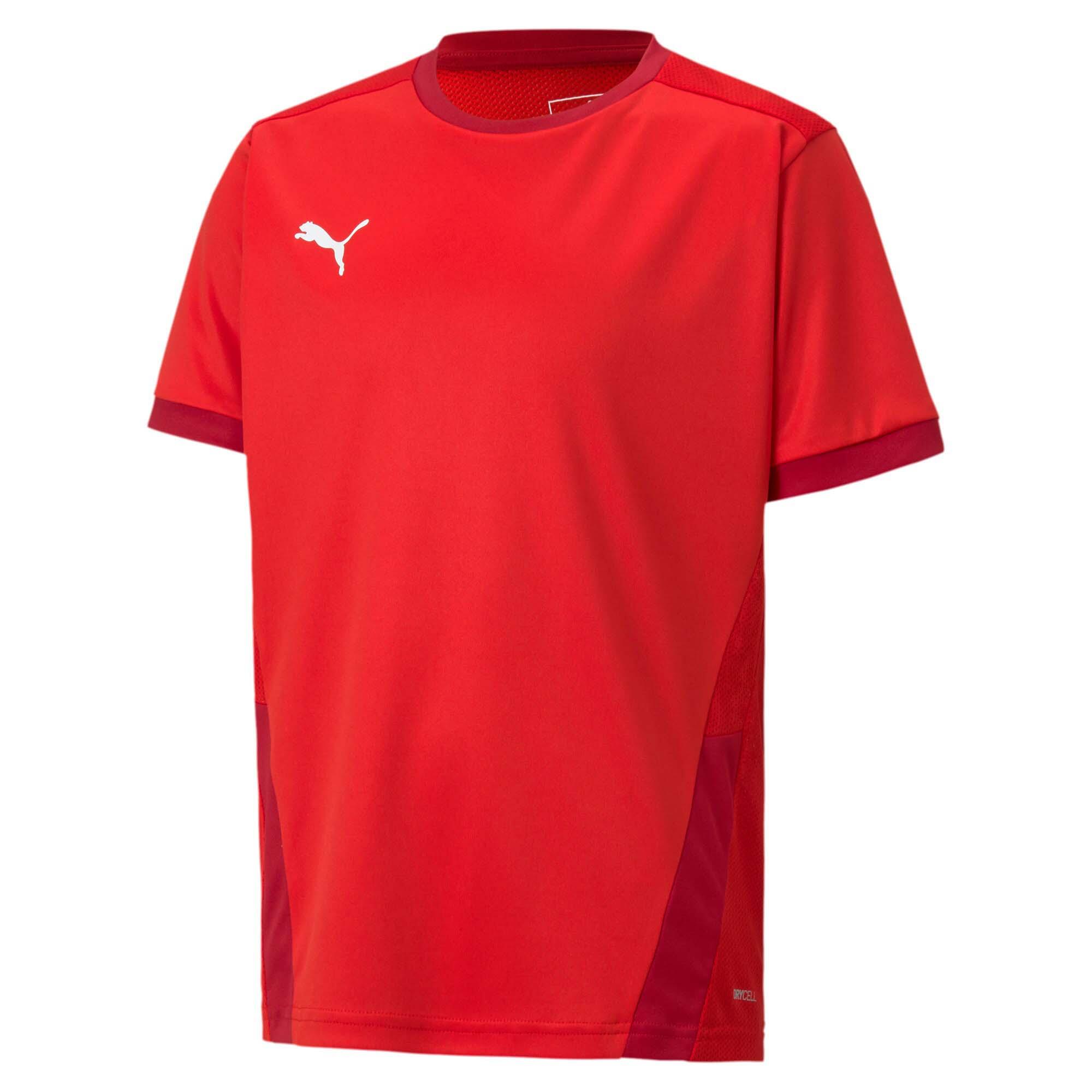 Koszulka dla dzieci Puma teamGOAL 23 Jersey
