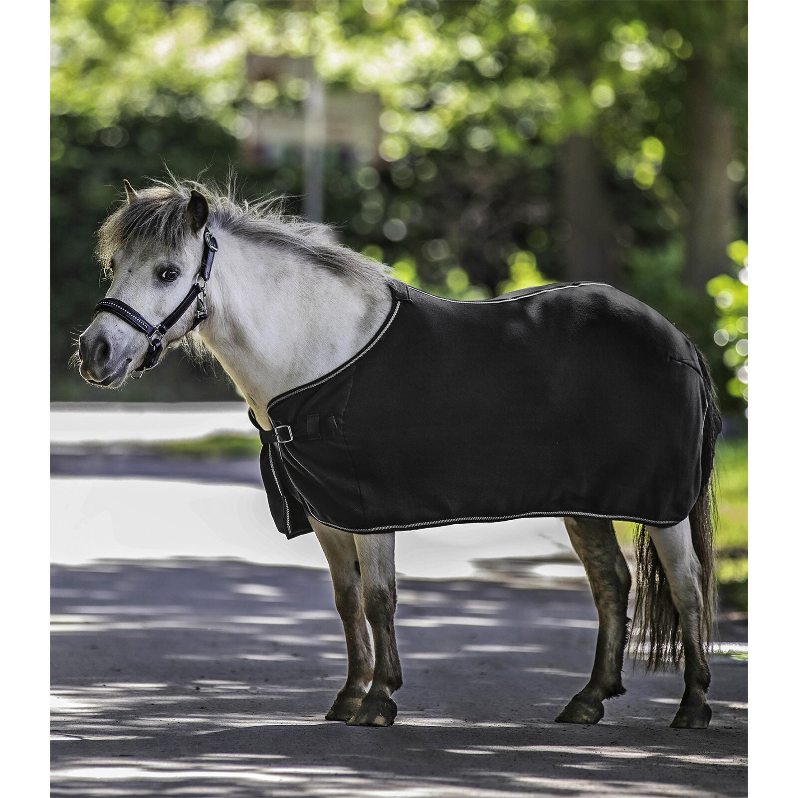 Polary końskie Waldhausen Economic
