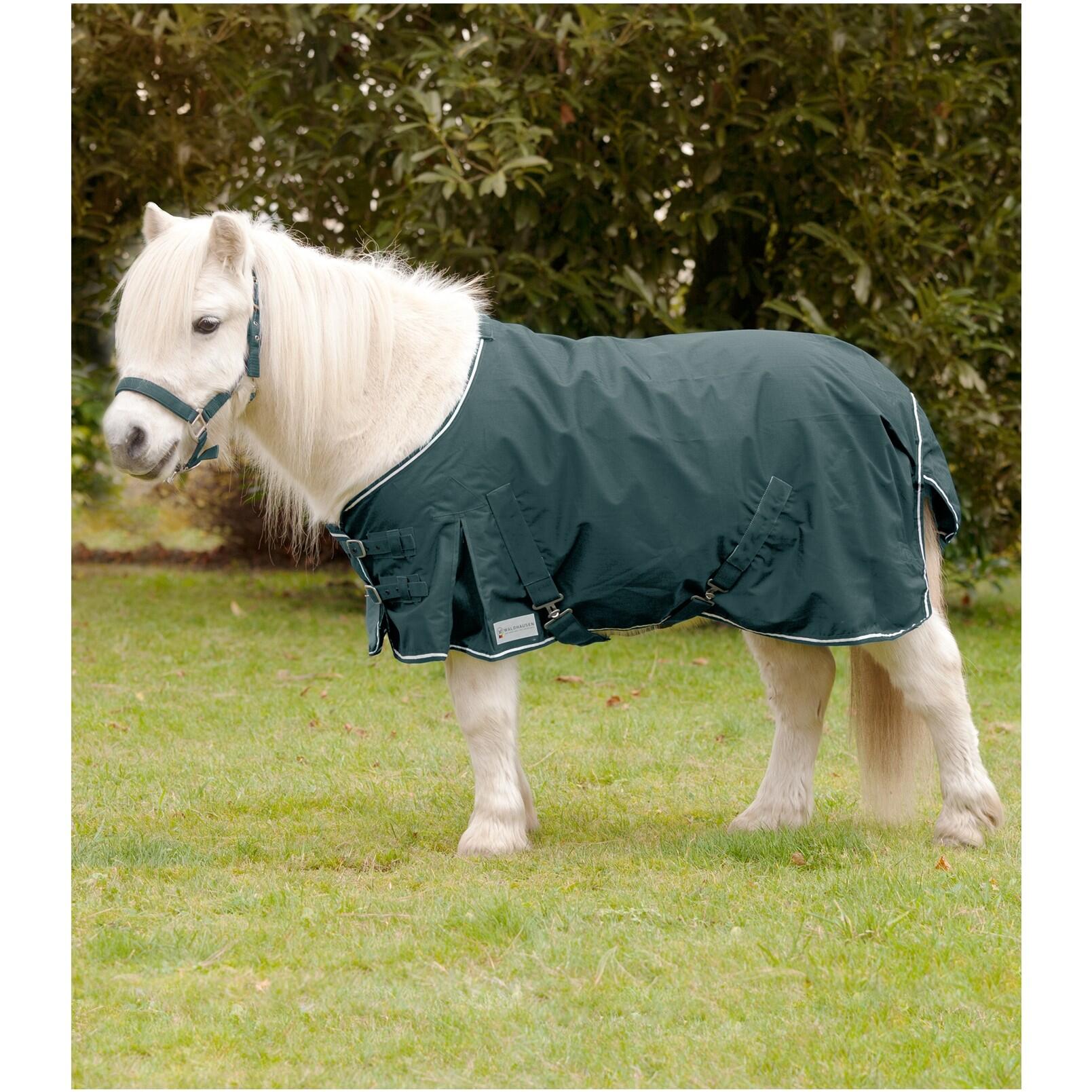 Zewnętrzna derka dla koni Waldhausen Shetty Light