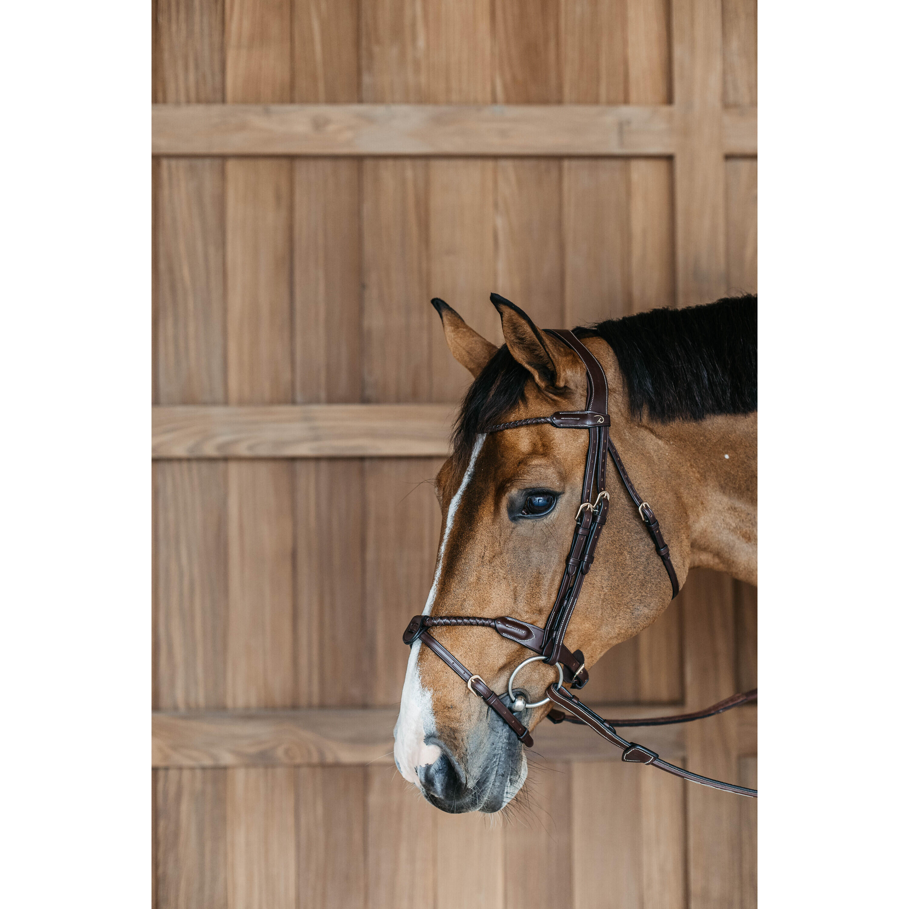 Anatomiczna, okrągła, pleciona angielska uzda do jazdy kombinowanej Dy'on