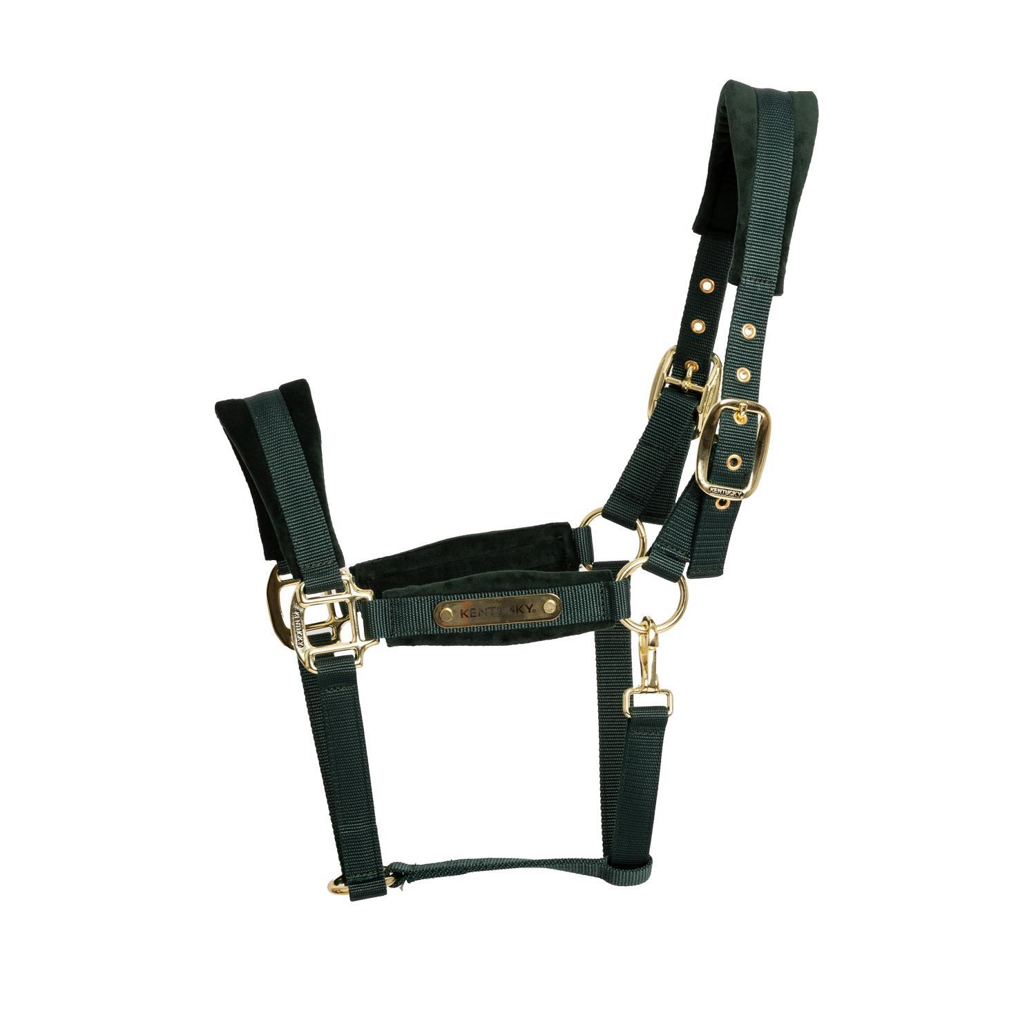 Nylonowy kantar dla konia Kentucky Horsewear