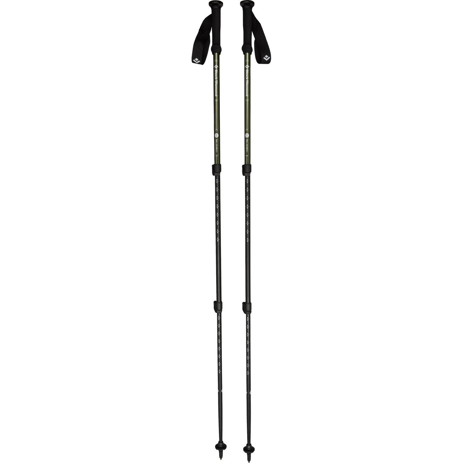 Kije trekkingowe Black Diamond Explorer 3 Trekking Poles