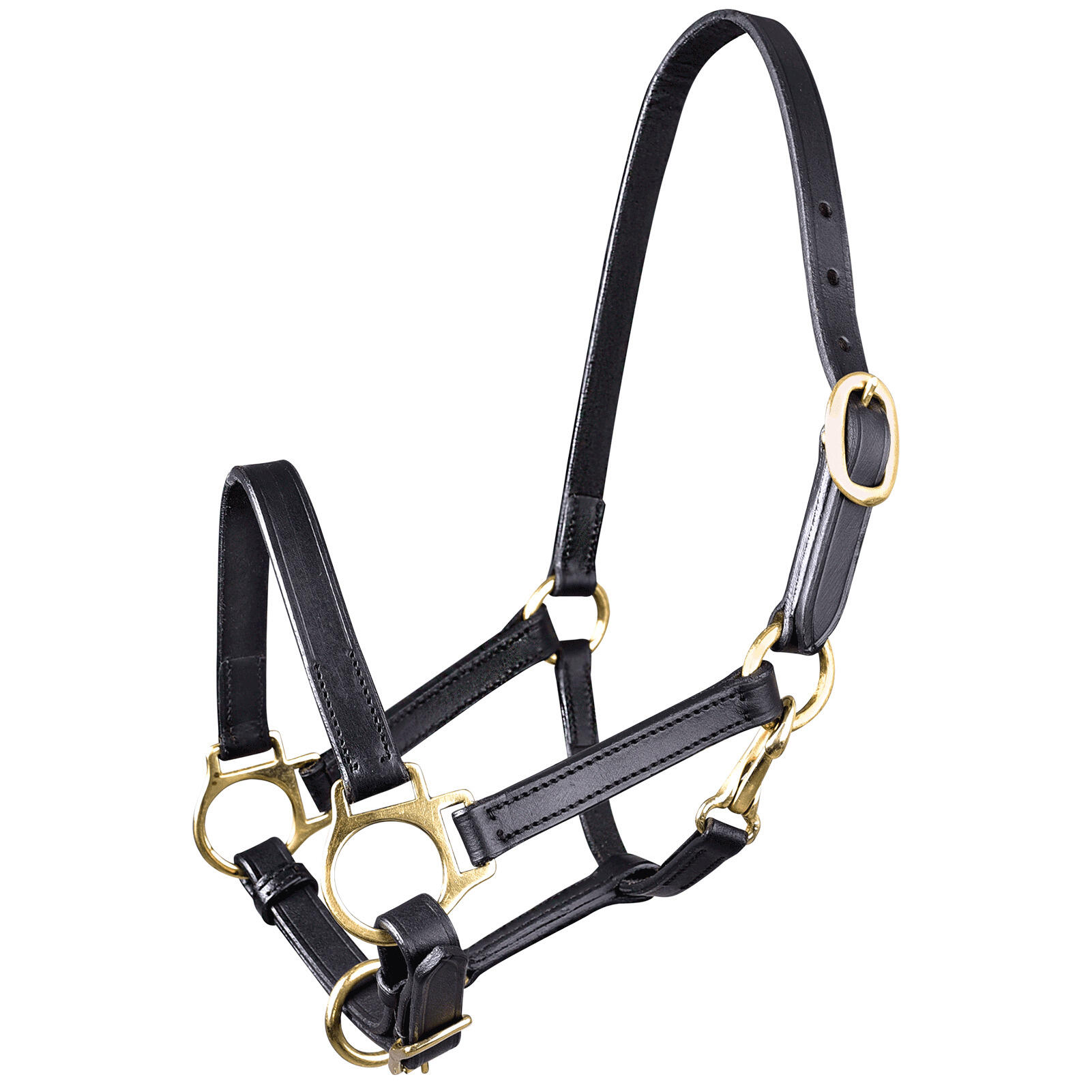 Kantar dla koni Star