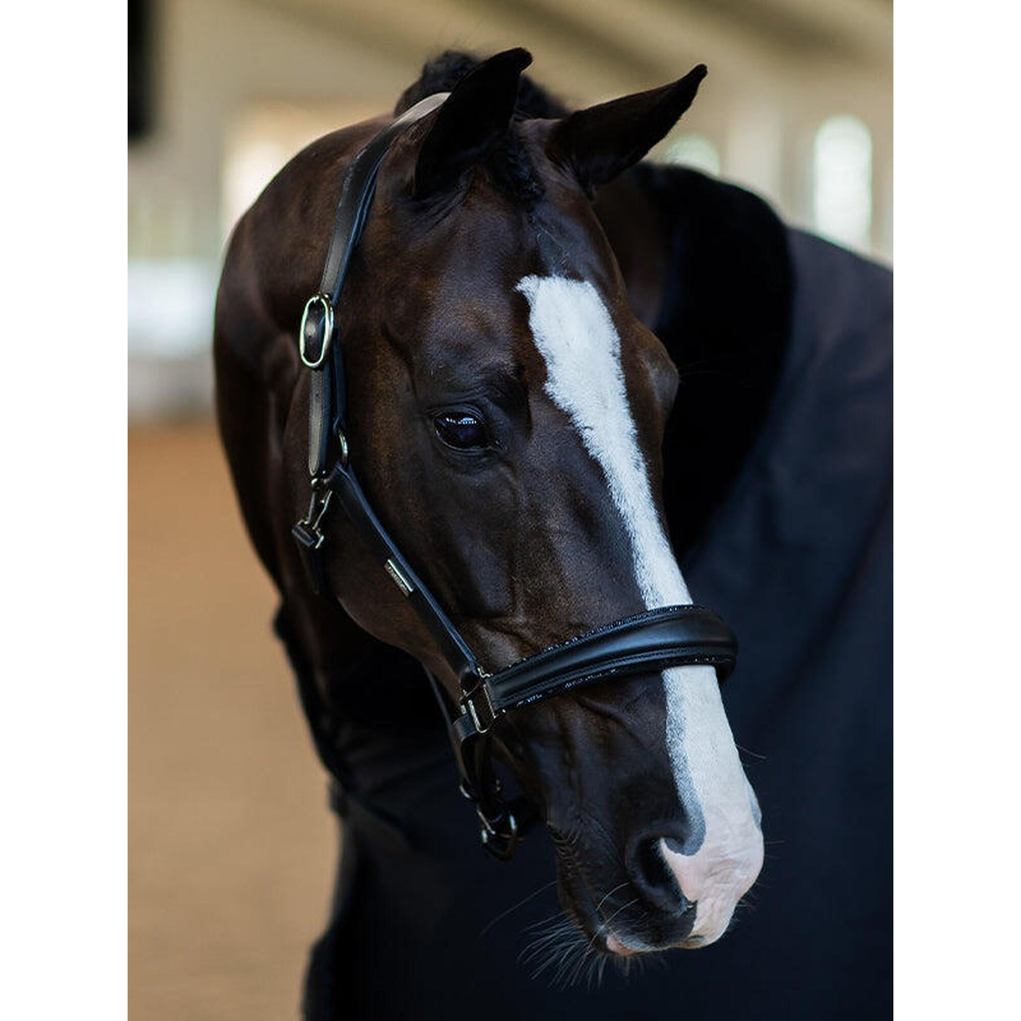 Skórzany kantar dla koni Equestrian Stockholm Glimmer Anatomic