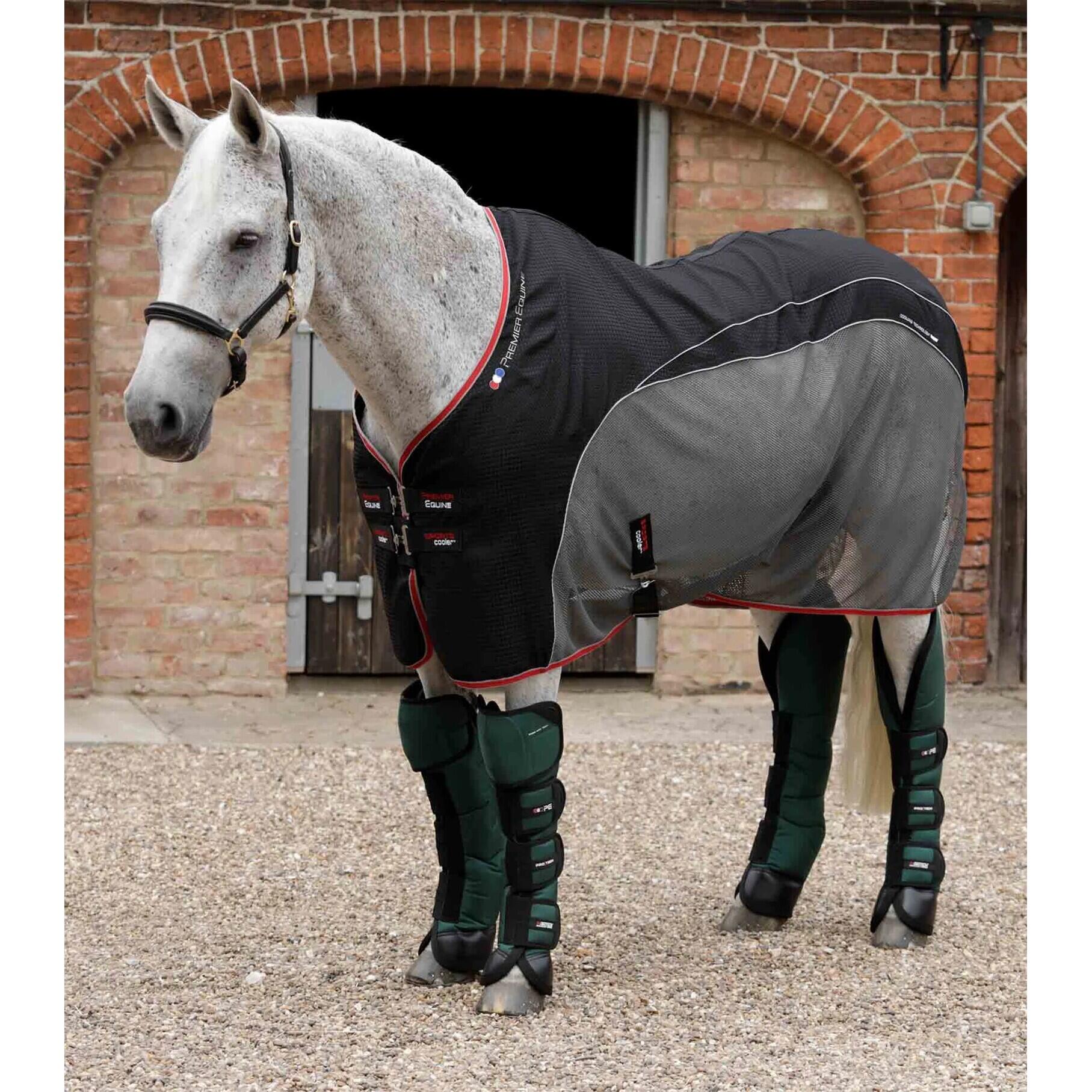 Buty transportowe dla koni Premier Equine Ballistic Pro-Tech