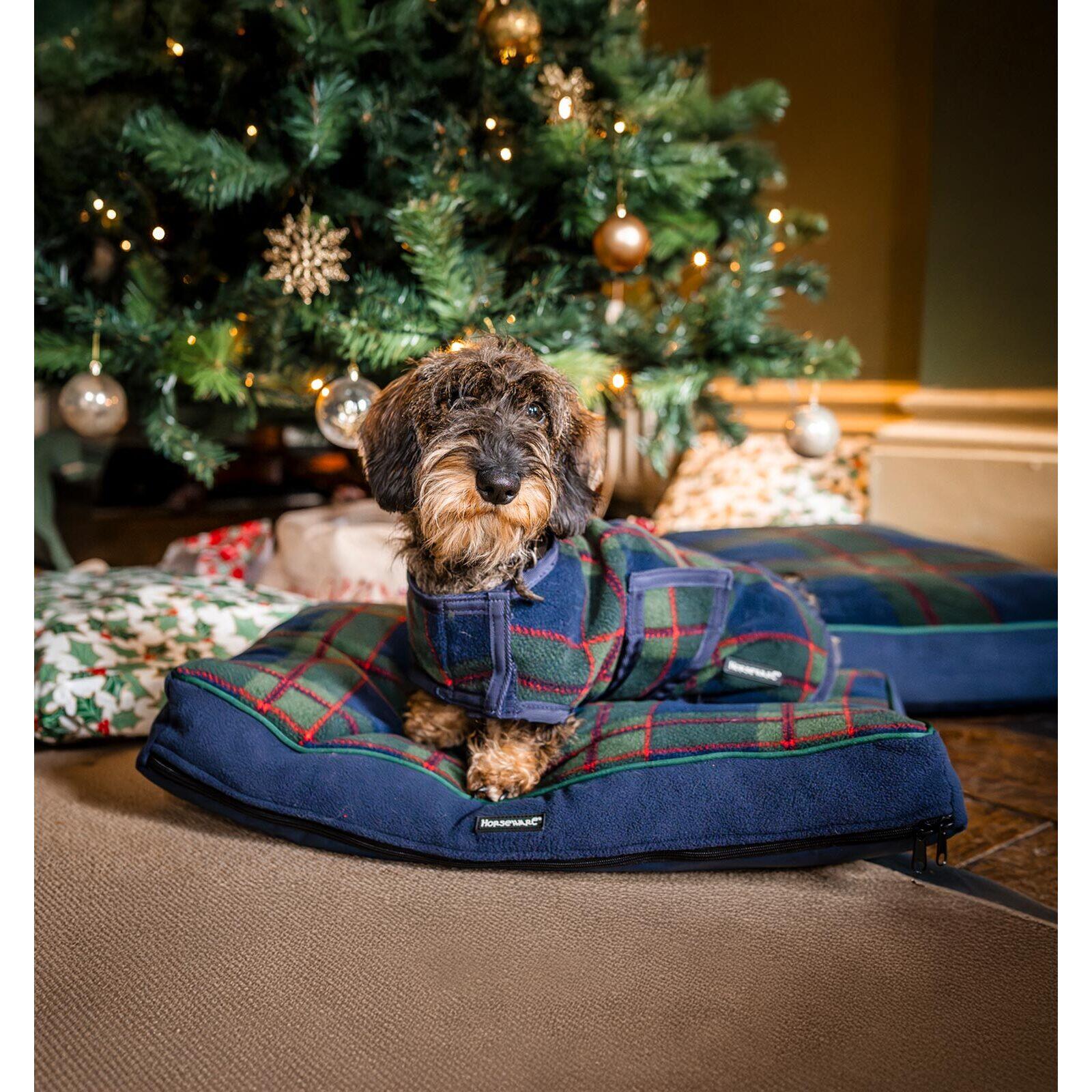 Mata dla psa Horseware Newmarket