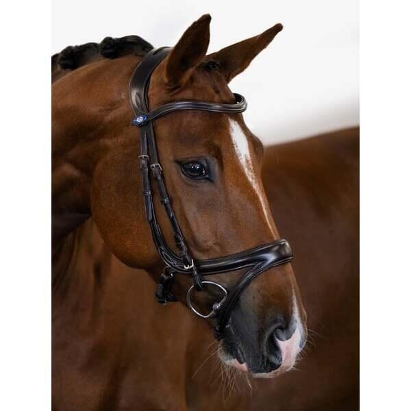 Uzda do jazdy konnej PS of Sweden Jump Off
