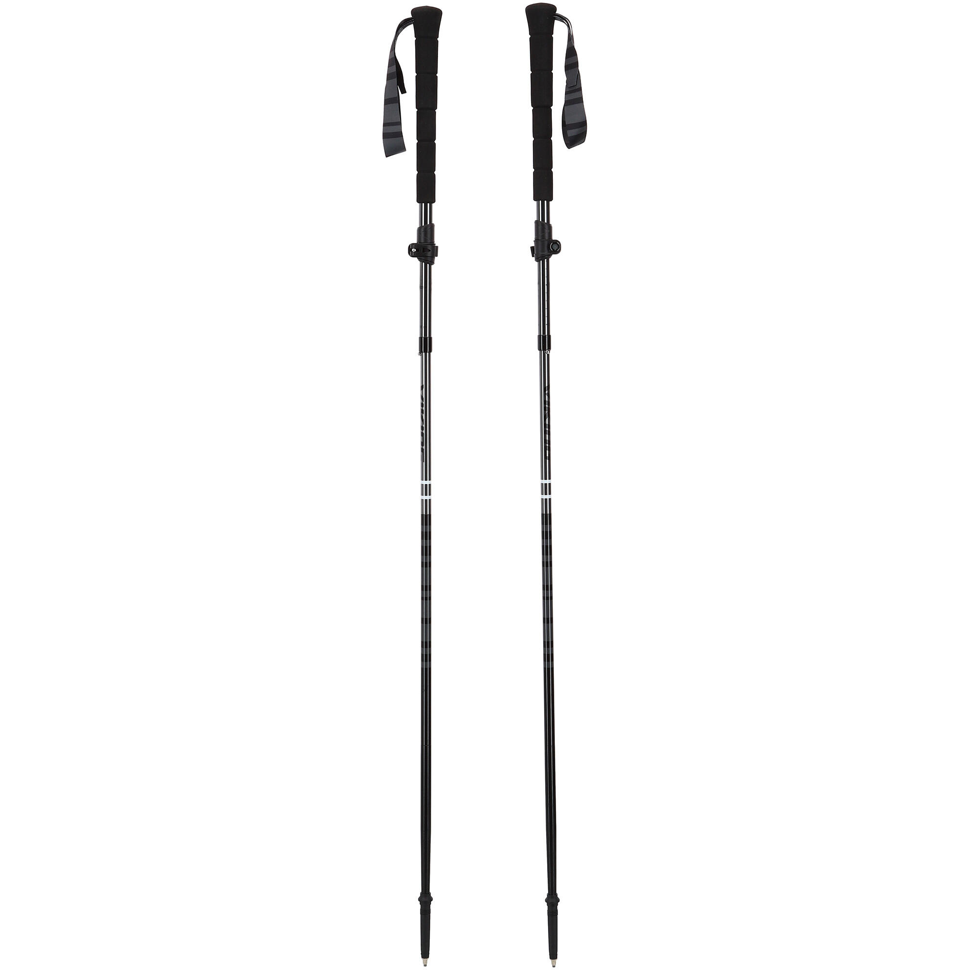 Kij do wędrówek Viking Kettera Pro