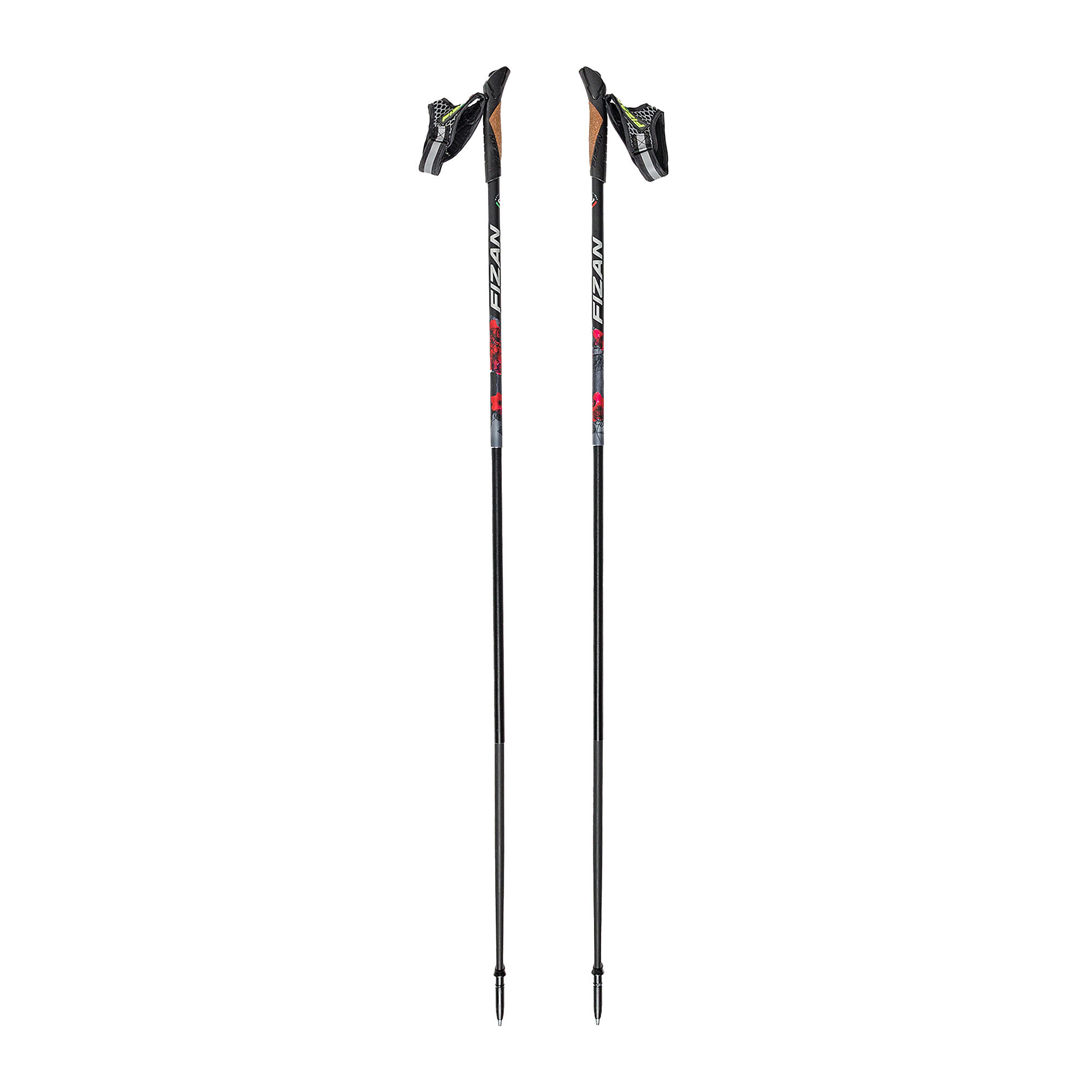 Kije nordic walking Fizan Lite