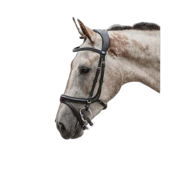 Uzda do jazdy konnej PS of Sweden Jump Off