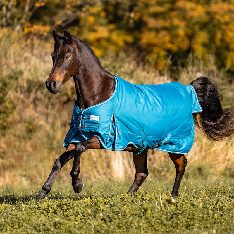 Derka polarowa dla koni Kavalkade Alaska IV