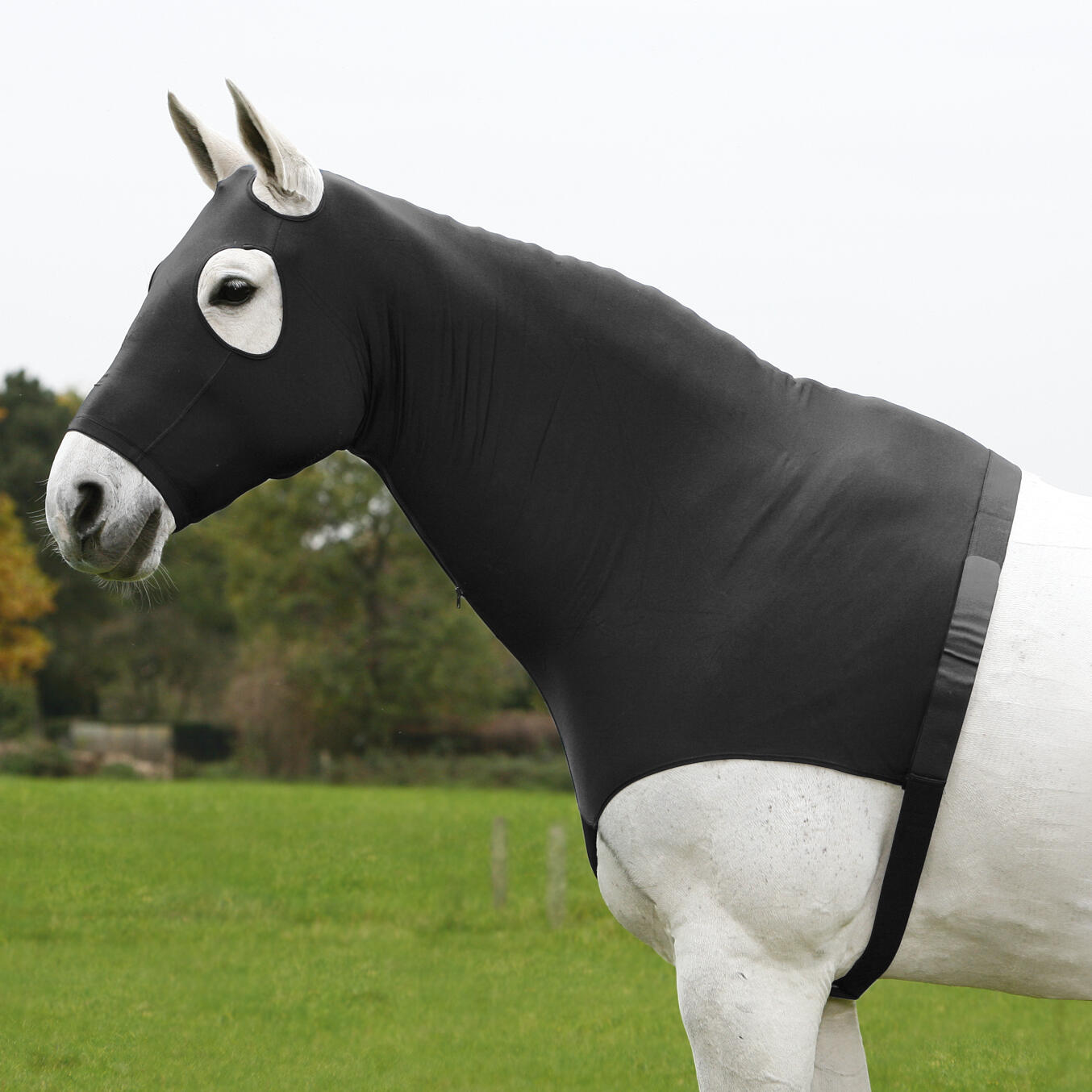 Osłona na barki dla konia z derką na szyję Waldhausen Comfort